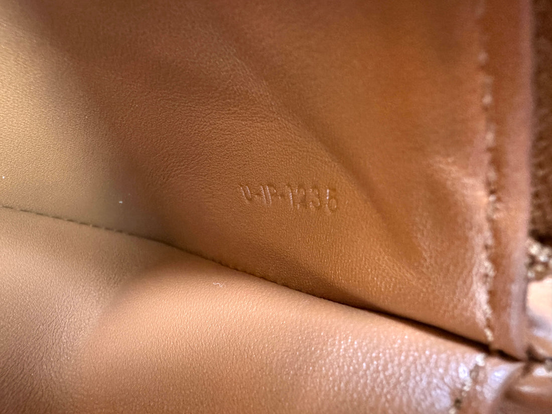 Celine Nino Brown Triomphe Canvas Handle Bag With Gold Triomphe Hardware CE134
