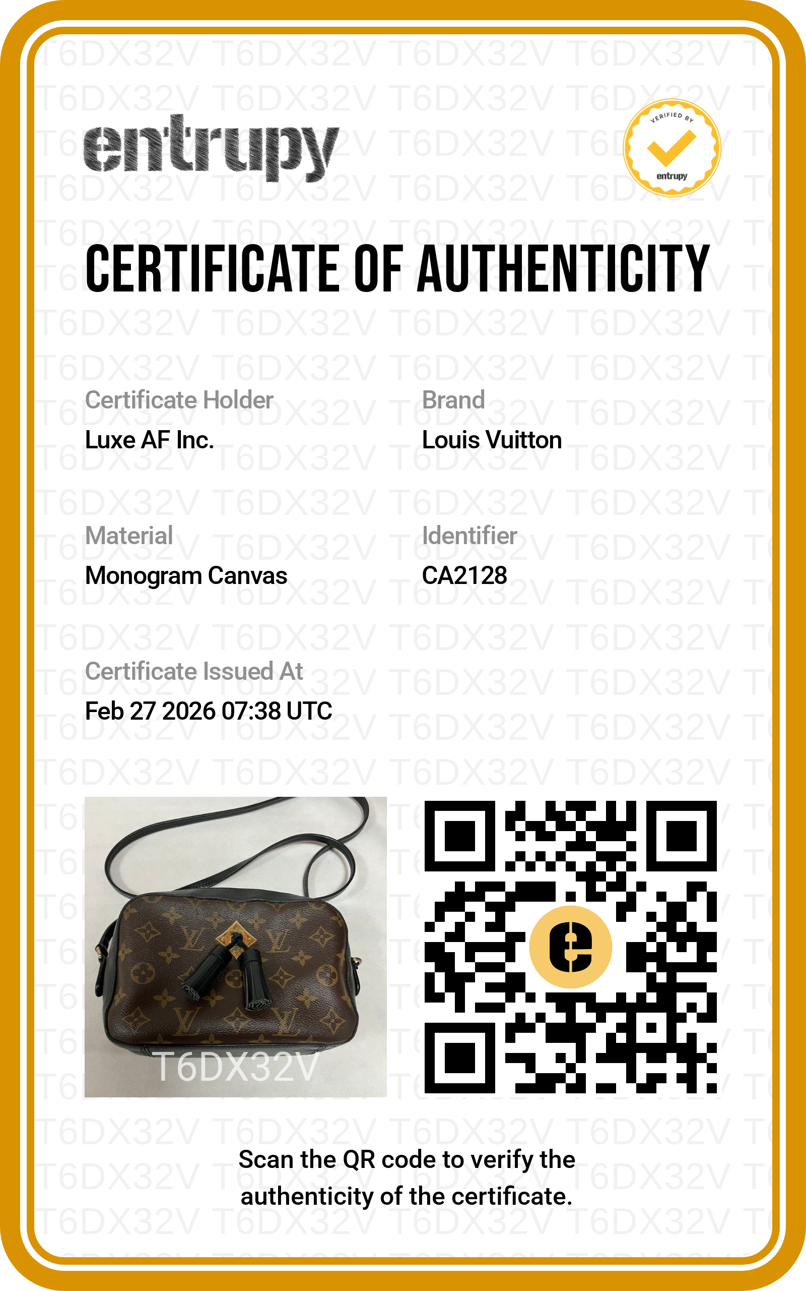 Louis Vuitton Saintonge Monogram Tassel Camera Bag LV2059