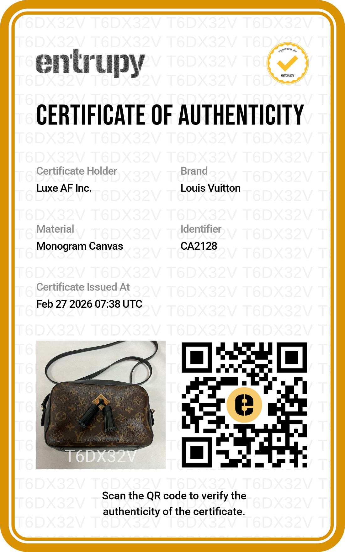 Louis Vuitton Saintonge Monogram Tassel Camera Bag LV2059