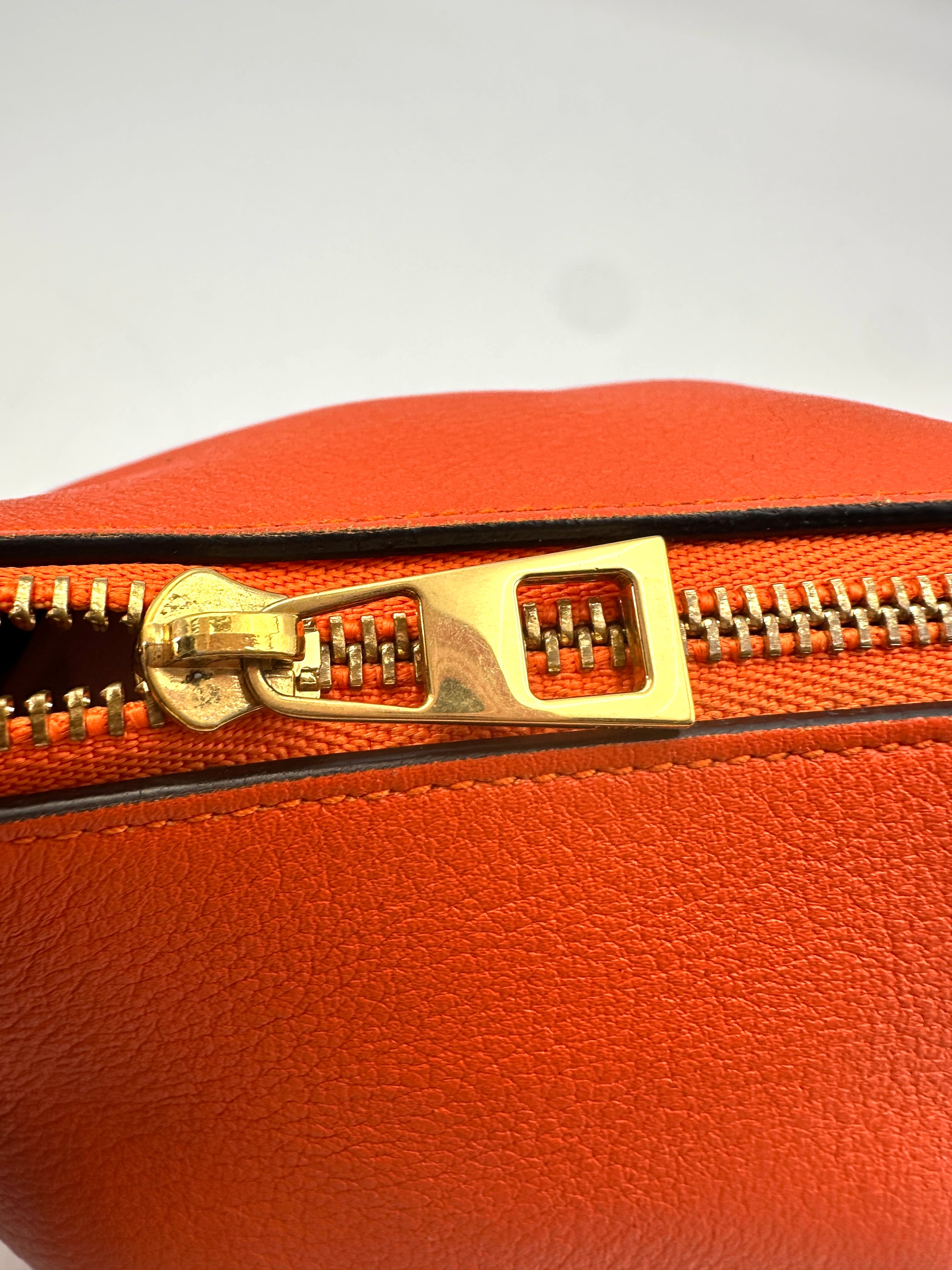Loewe Orange Leather Elephant Bag LW74