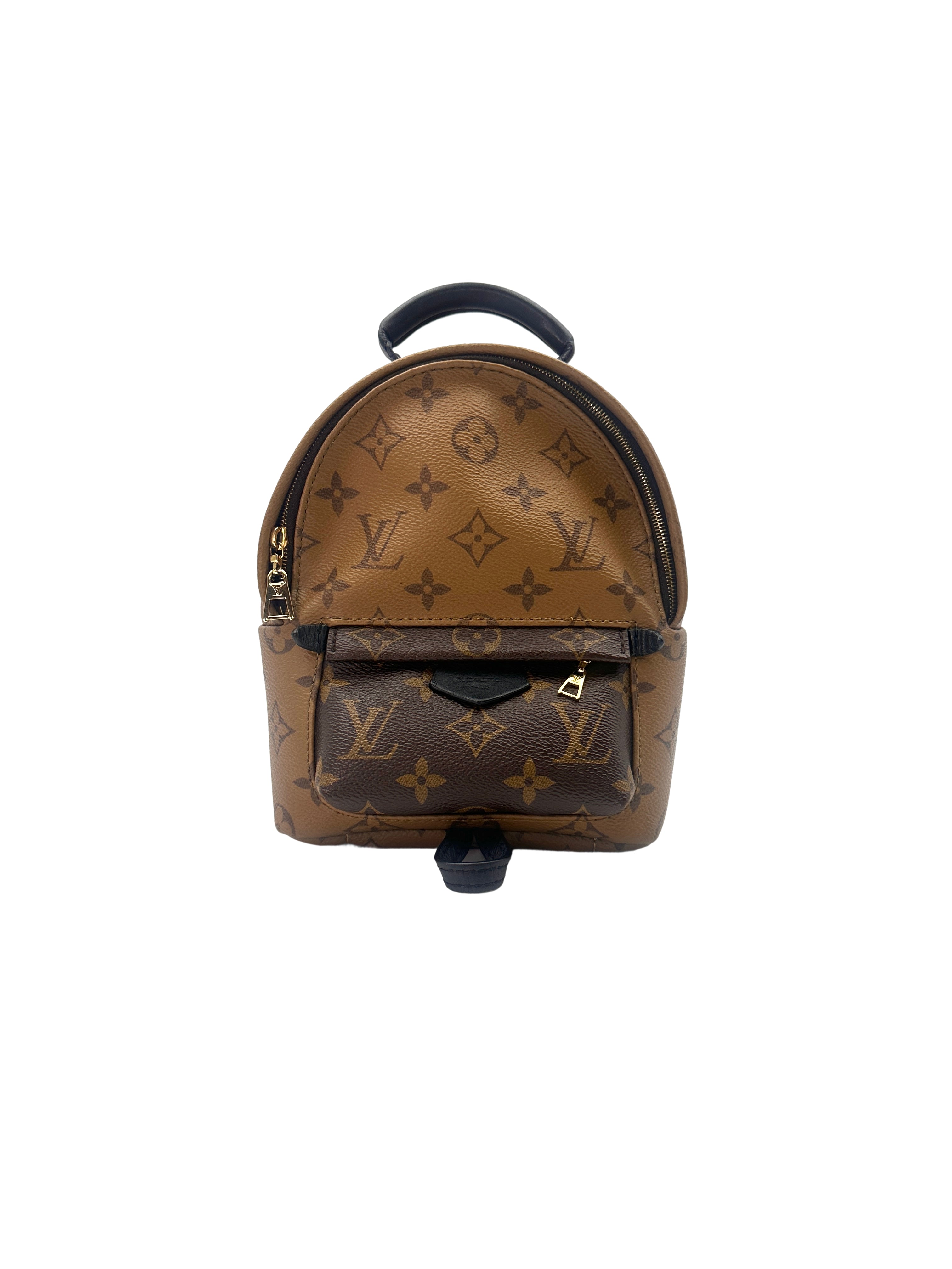 Louis Vuitton Palm Springs Monogram Reverse Canvas Mini Backpack LV1983