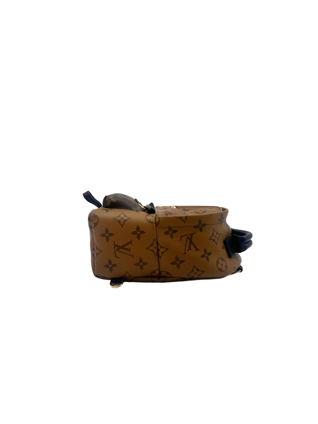 Louis Vuitton Palm Springs Monogram Reverse Canvas Mini Backpack LV1983