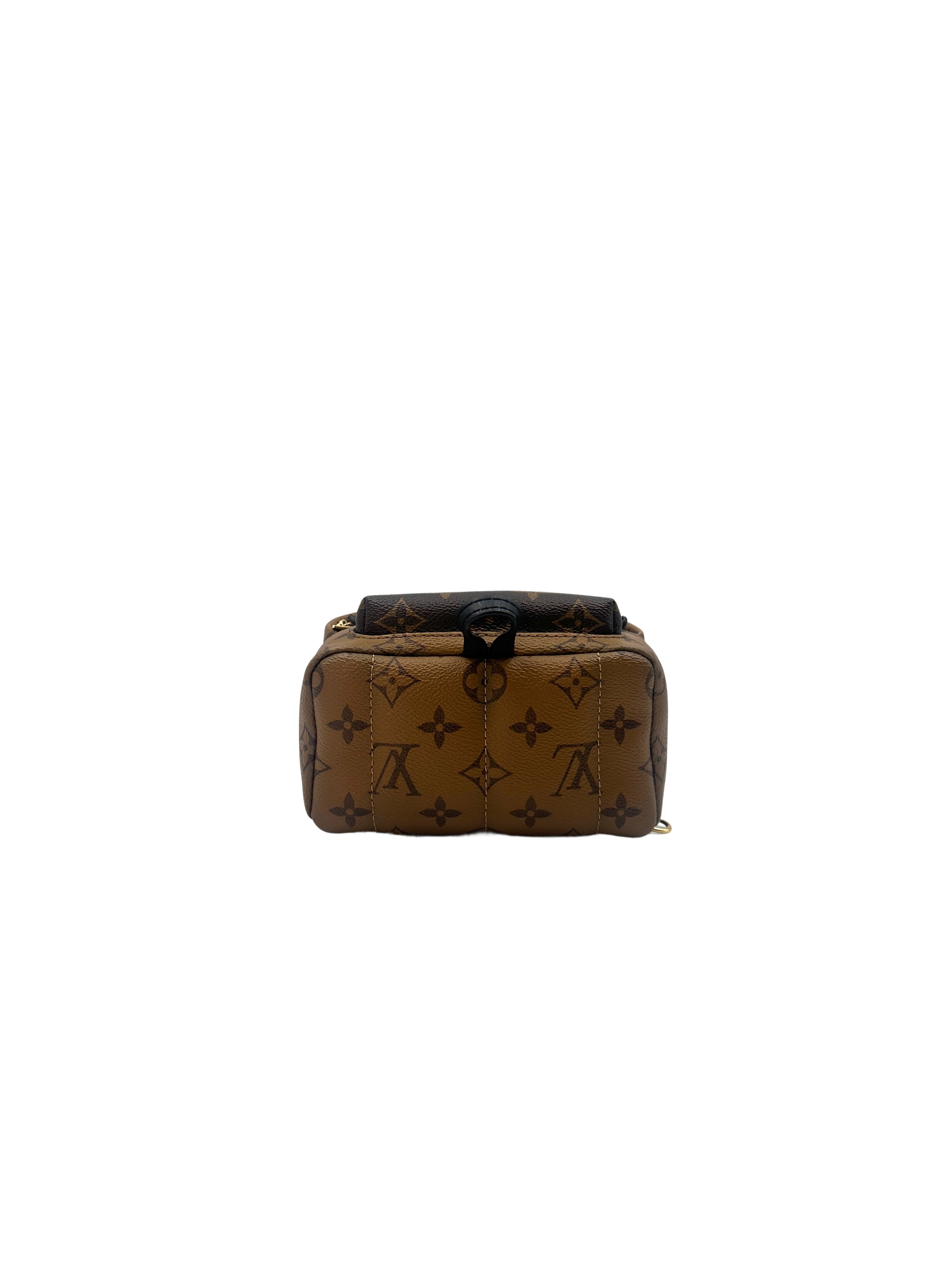 Louis Vuitton Palm Springs Monogram Reverse Canvas Mini Backpack LV1983