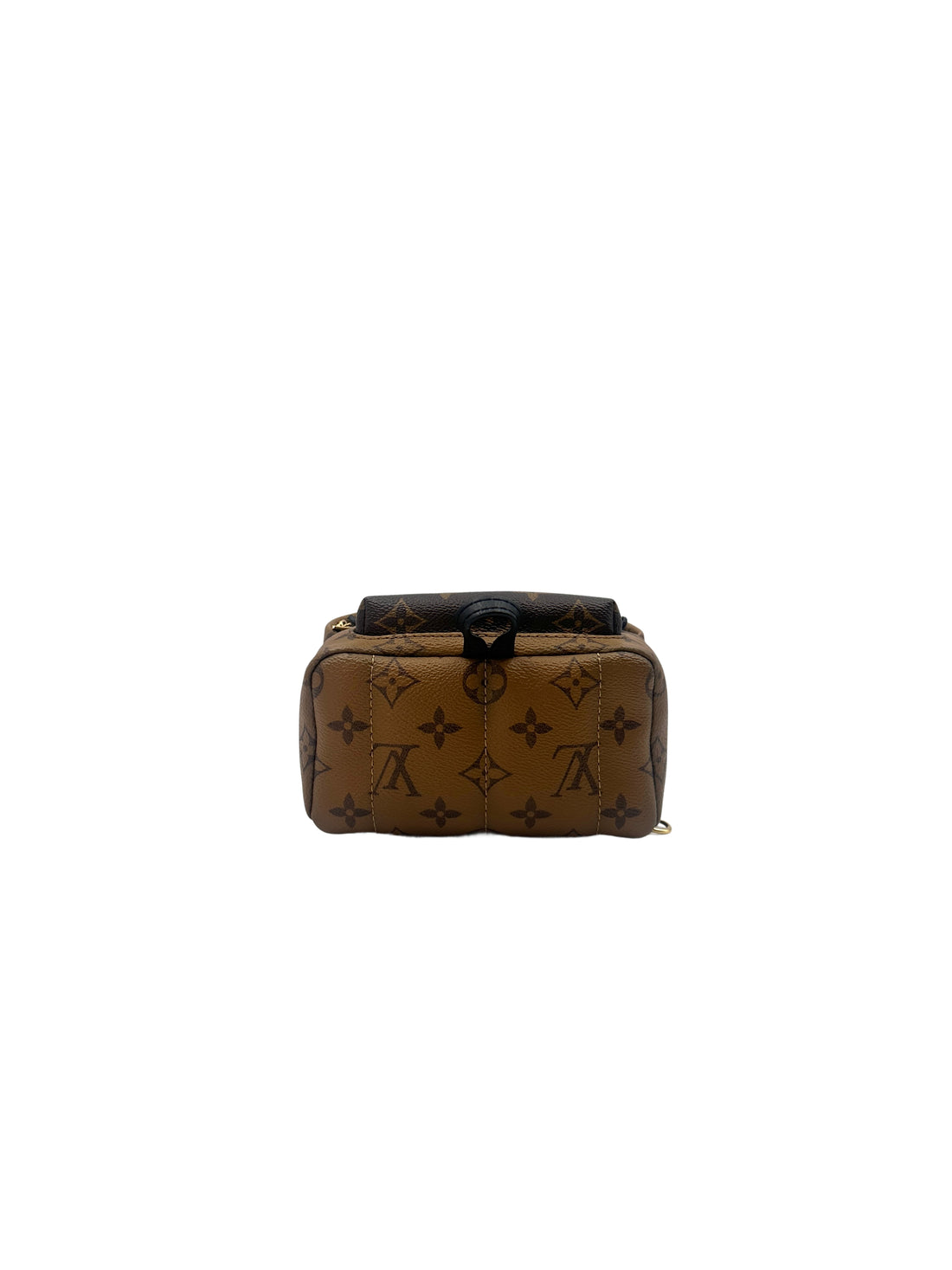 Louis Vuitton Palm Springs Monogram Reverse Canvas Mini Backpack LV1983