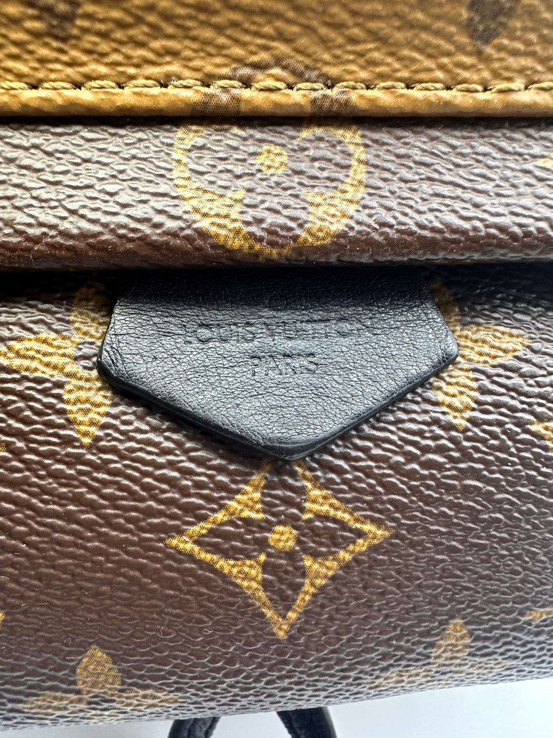 Louis Vuitton Palm Springs Monogram Reverse Canvas Mini Backpack LV1983