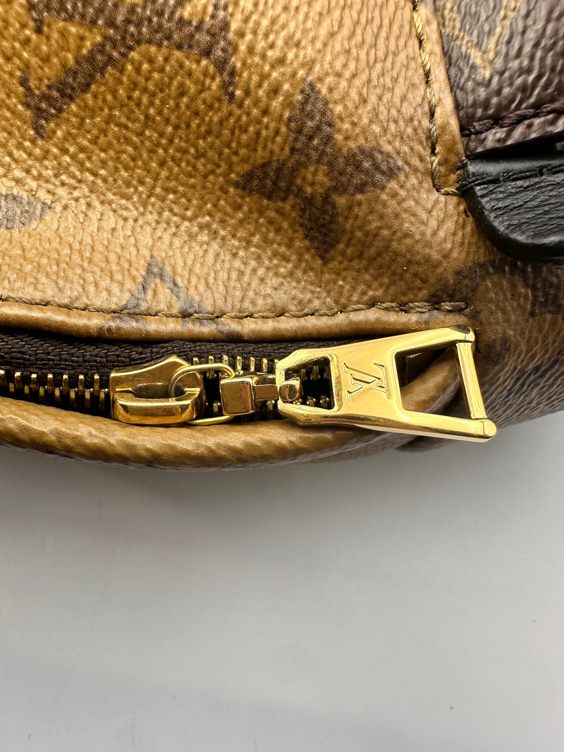 Louis Vuitton Palm Springs Monogram Reverse Canvas Mini Backpack LV1983