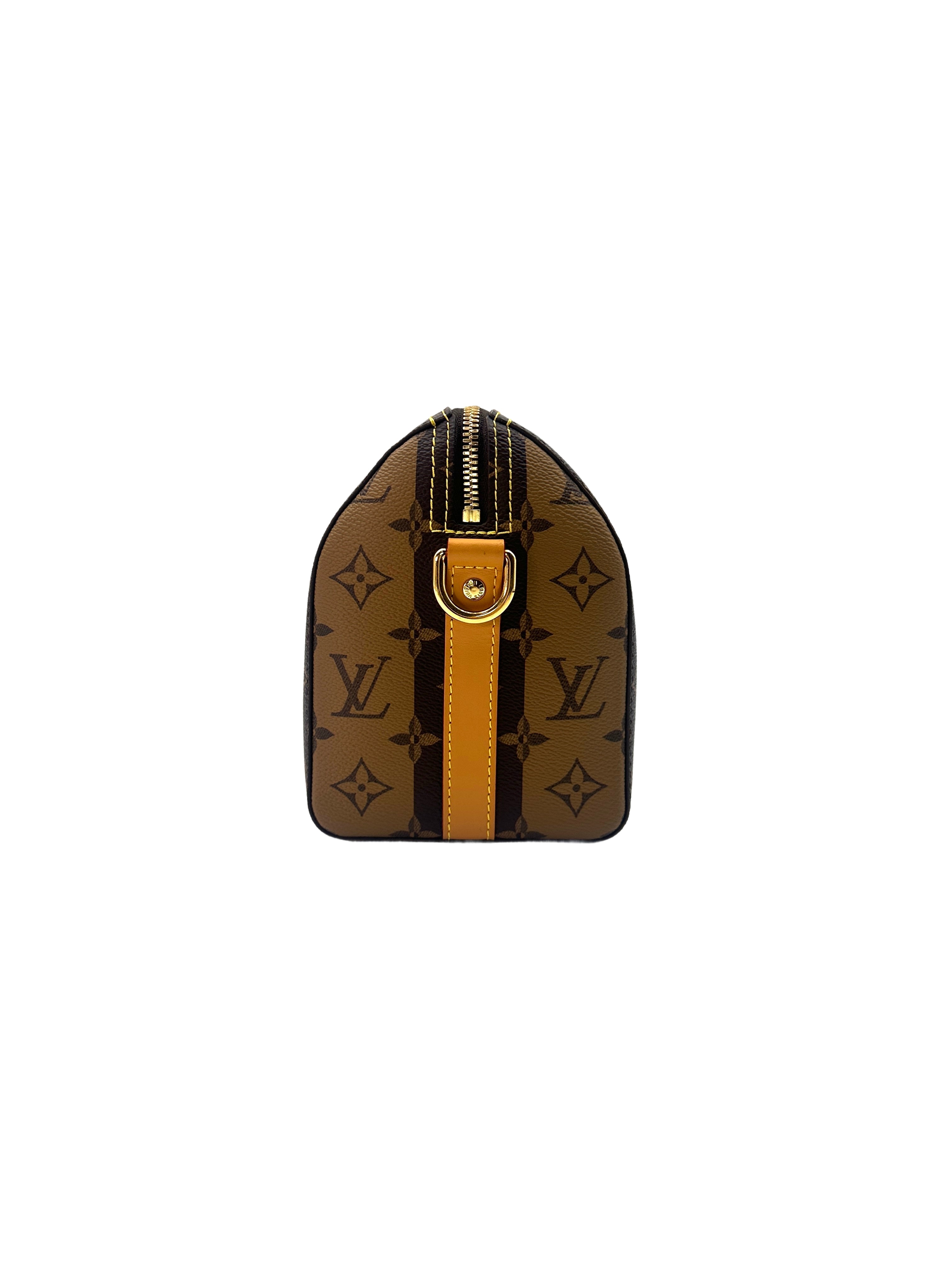 Louis Vuitton x Nigo City Keepall Monogram Stripes Shoulder Bag LV1991