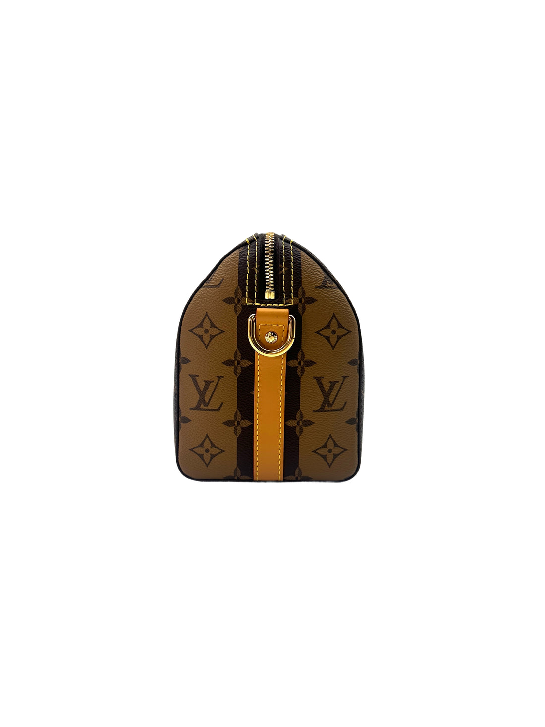 Louis Vuitton x Nigo City Keepall Monogram Stripes Shoulder Bag LV1991