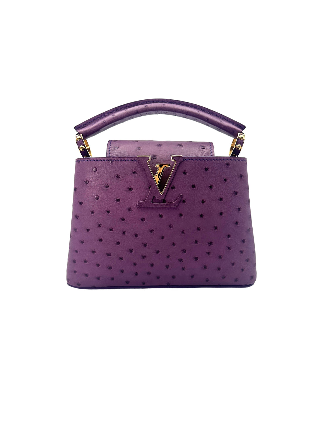Louis Vuitton Capucines Purple Ostrich Leather Handle Bag LV1995