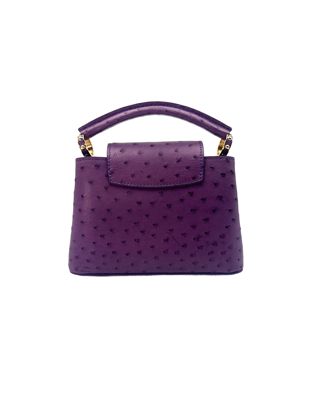 Louis Vuitton Capucines Purple Ostrich Leather Handle Bag LV1995