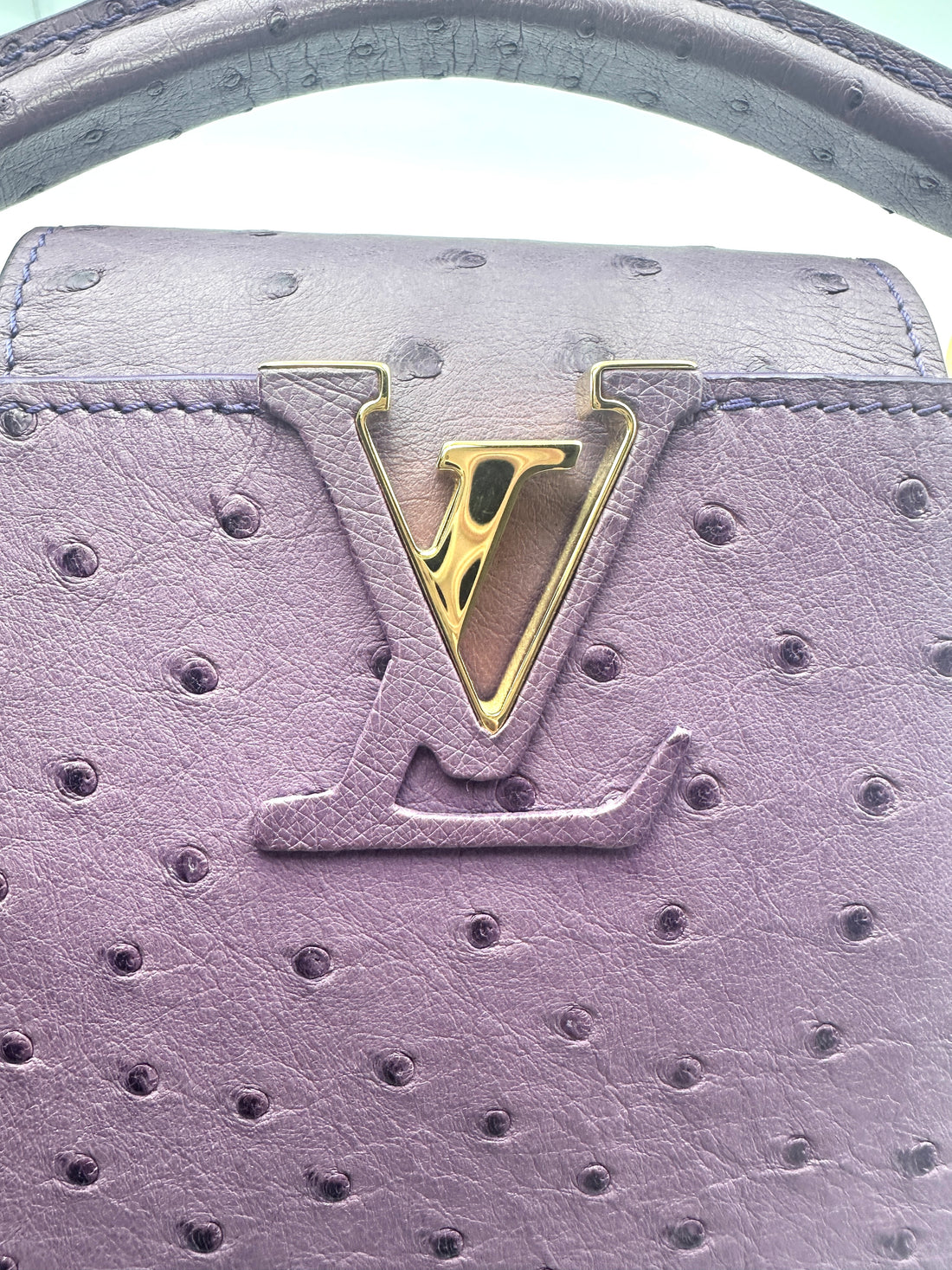 Louis Vuitton Capucines Purple Ostrich Leather Handle Bag LV1995