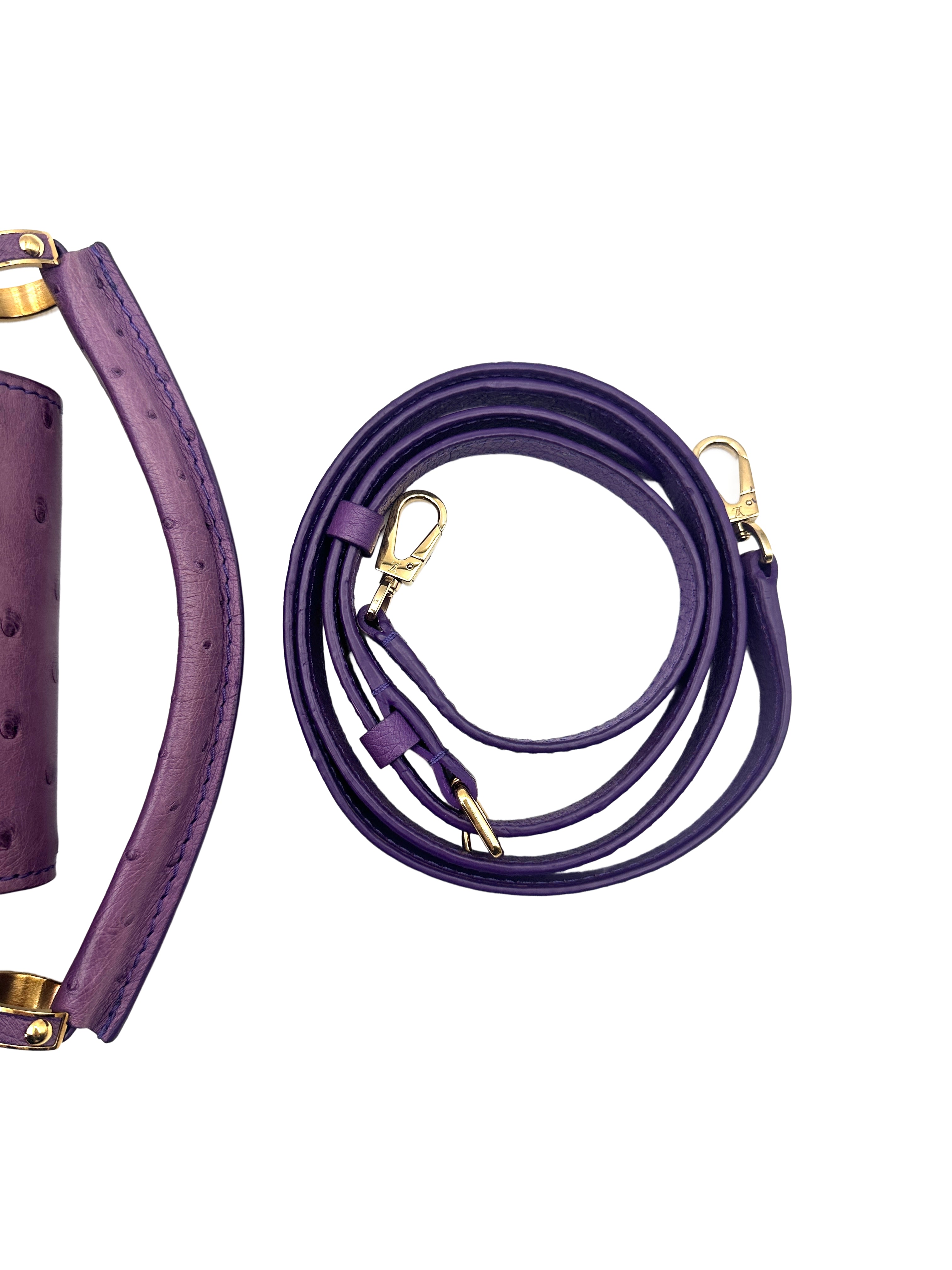 Louis Vuitton Capucines Purple Ostrich Leather Handle Bag LV1995