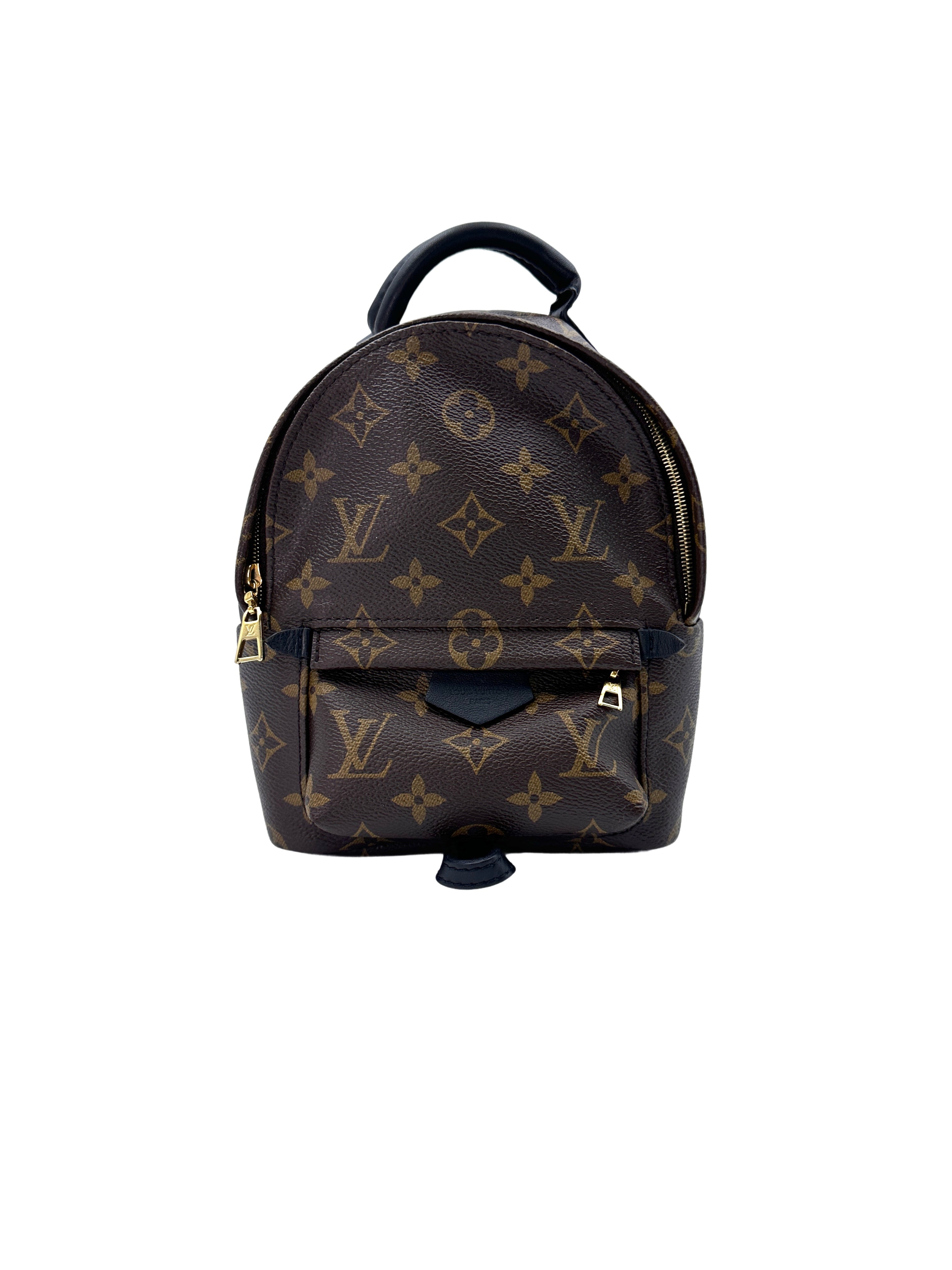 Louis Vuitton Palm Springs Mini Monogram Canvas Backpack LV2015
