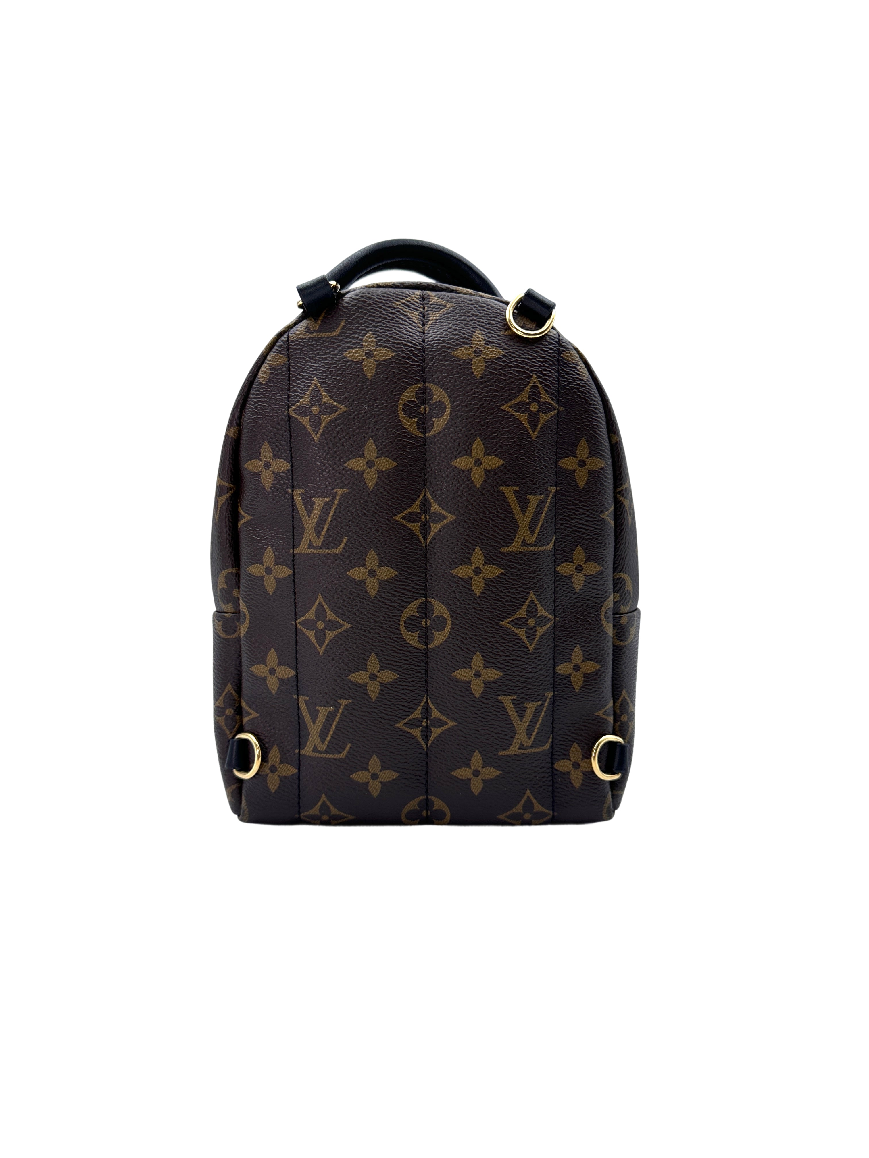 Louis Vuitton Palm Springs Mini Monogram Canvas Backpack LV2015