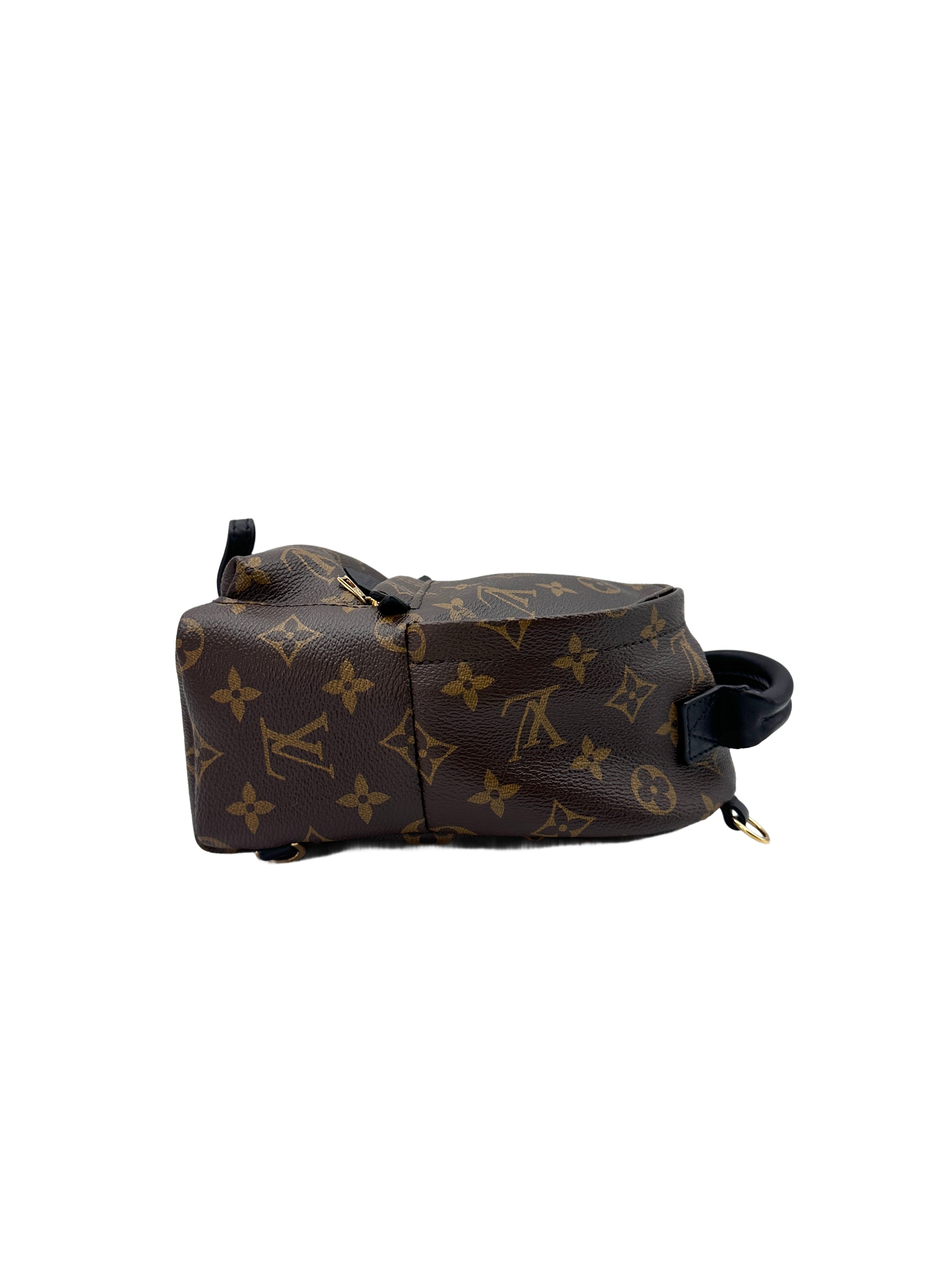 Louis Vuitton Palm Springs Mini Monogram Canvas Backpack LV2015