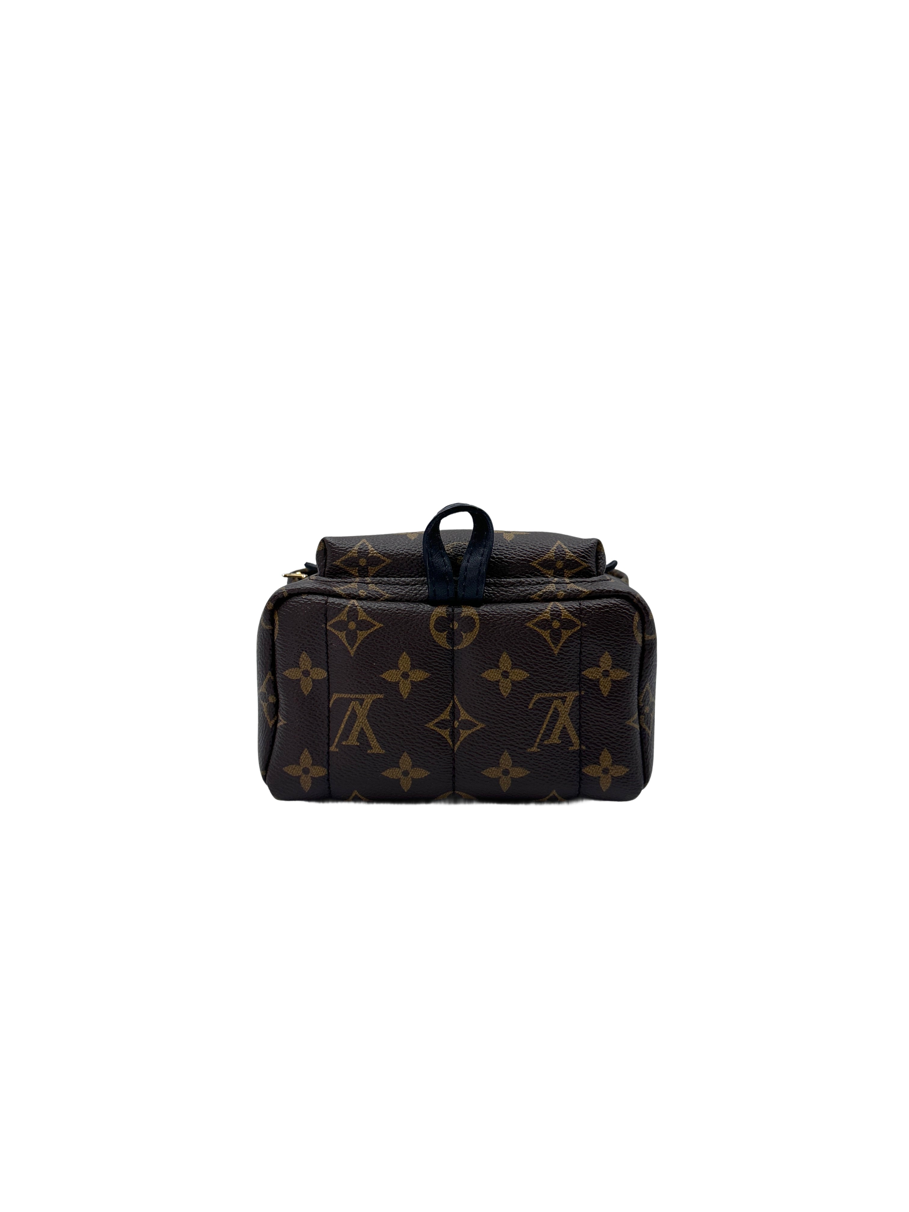 Louis Vuitton Palm Springs Mini Monogram Canvas Backpack LV2015