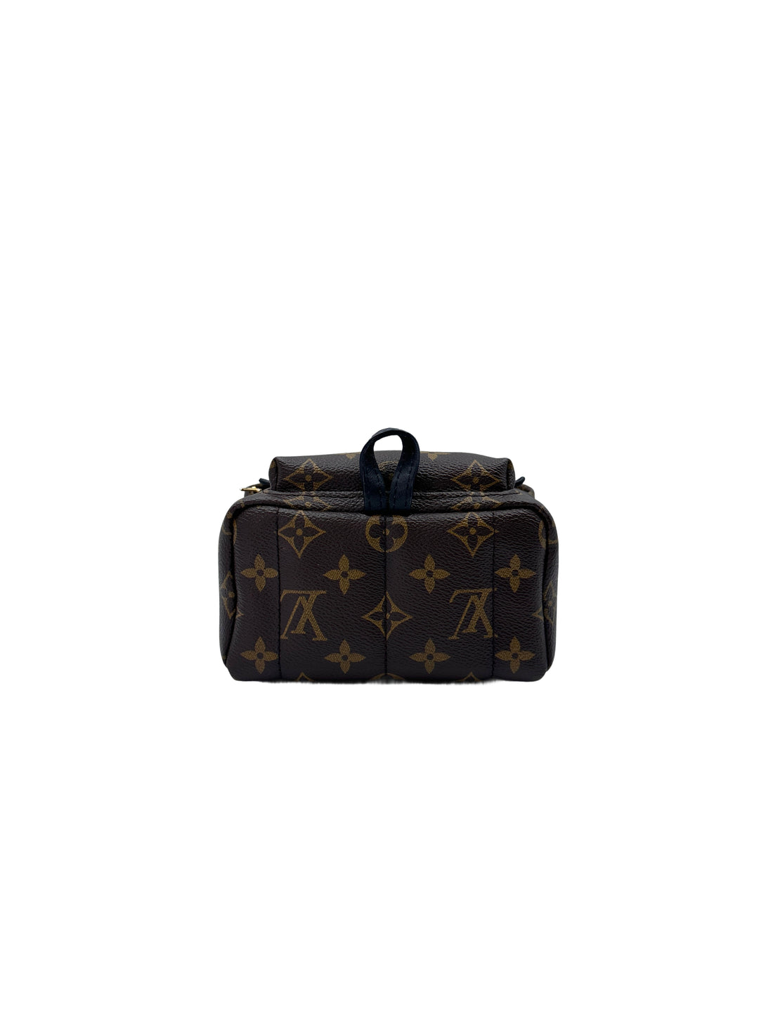 Louis Vuitton Palm Springs Mini Monogram Canvas Backpack LV2015