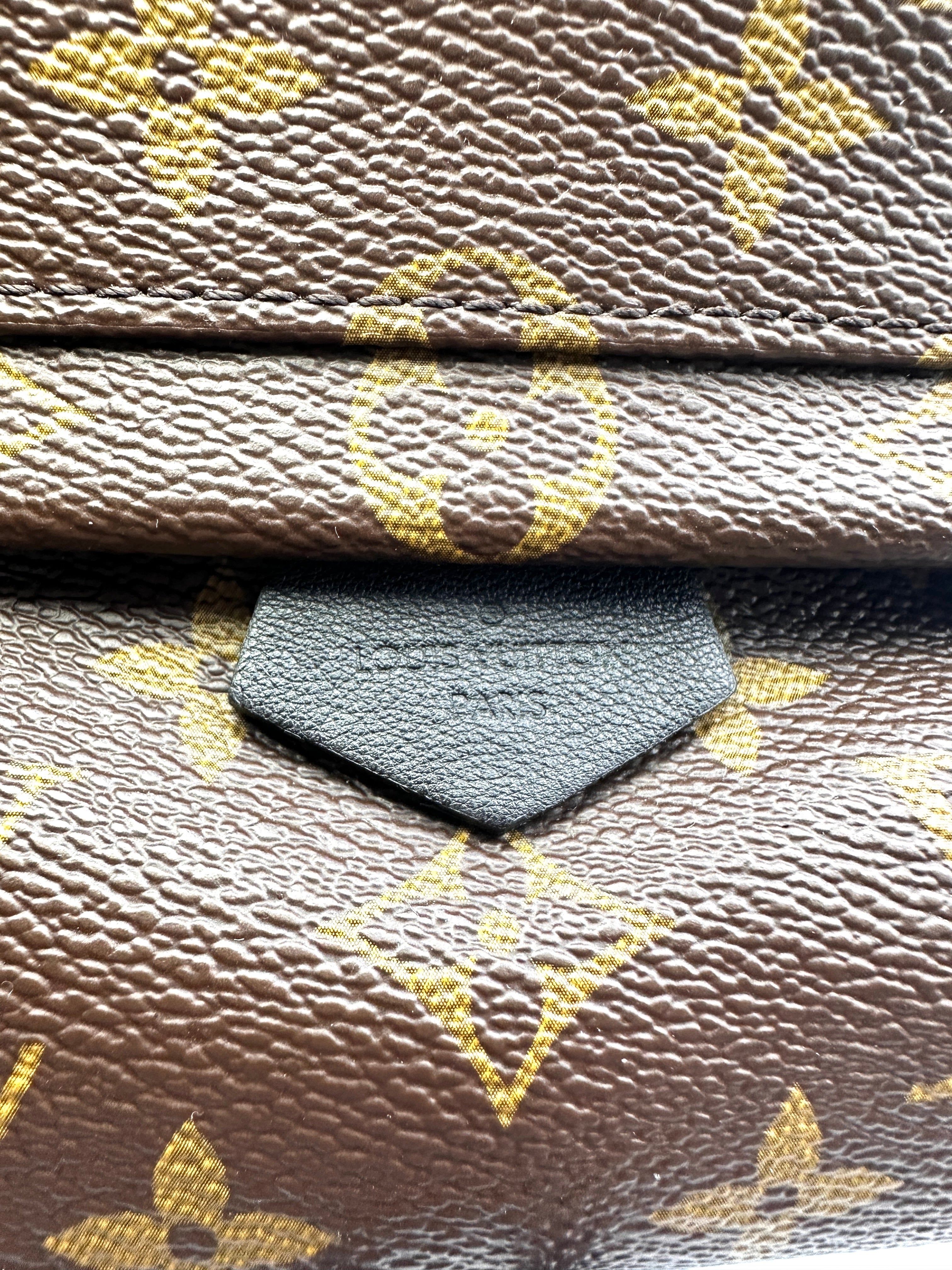 Louis Vuitton Palm Springs Mini Monogram Canvas Backpack LV2015
