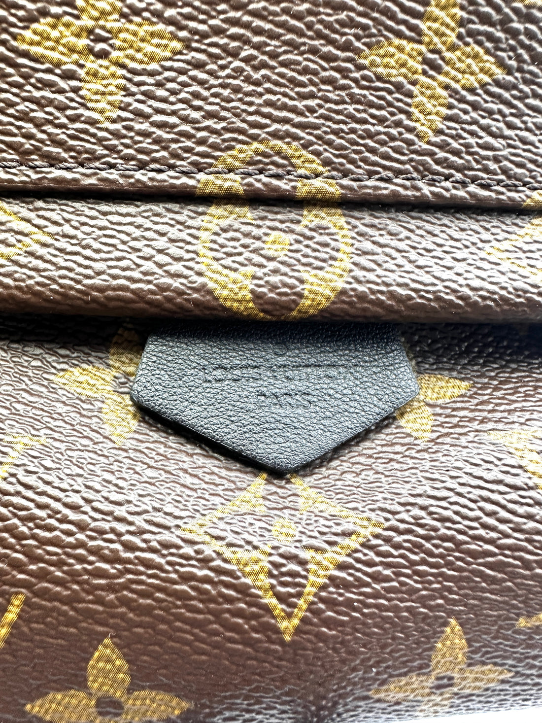 Louis Vuitton Palm Springs Mini Monogram Canvas Backpack LV2015