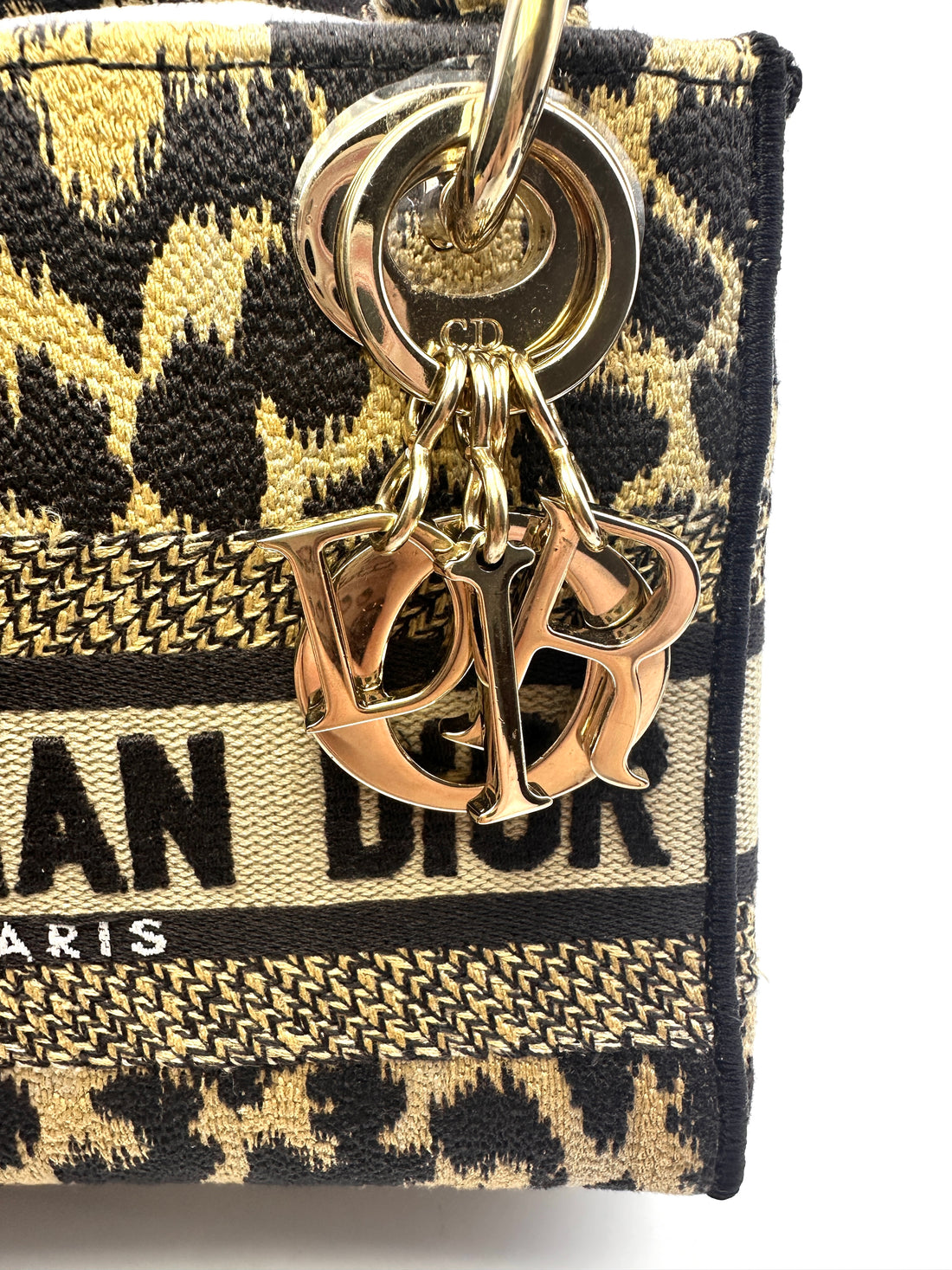 Christian Dior Lady Dior Mizza Leopard Embroidered Canvas Handle Bag With Gold Charms DR530