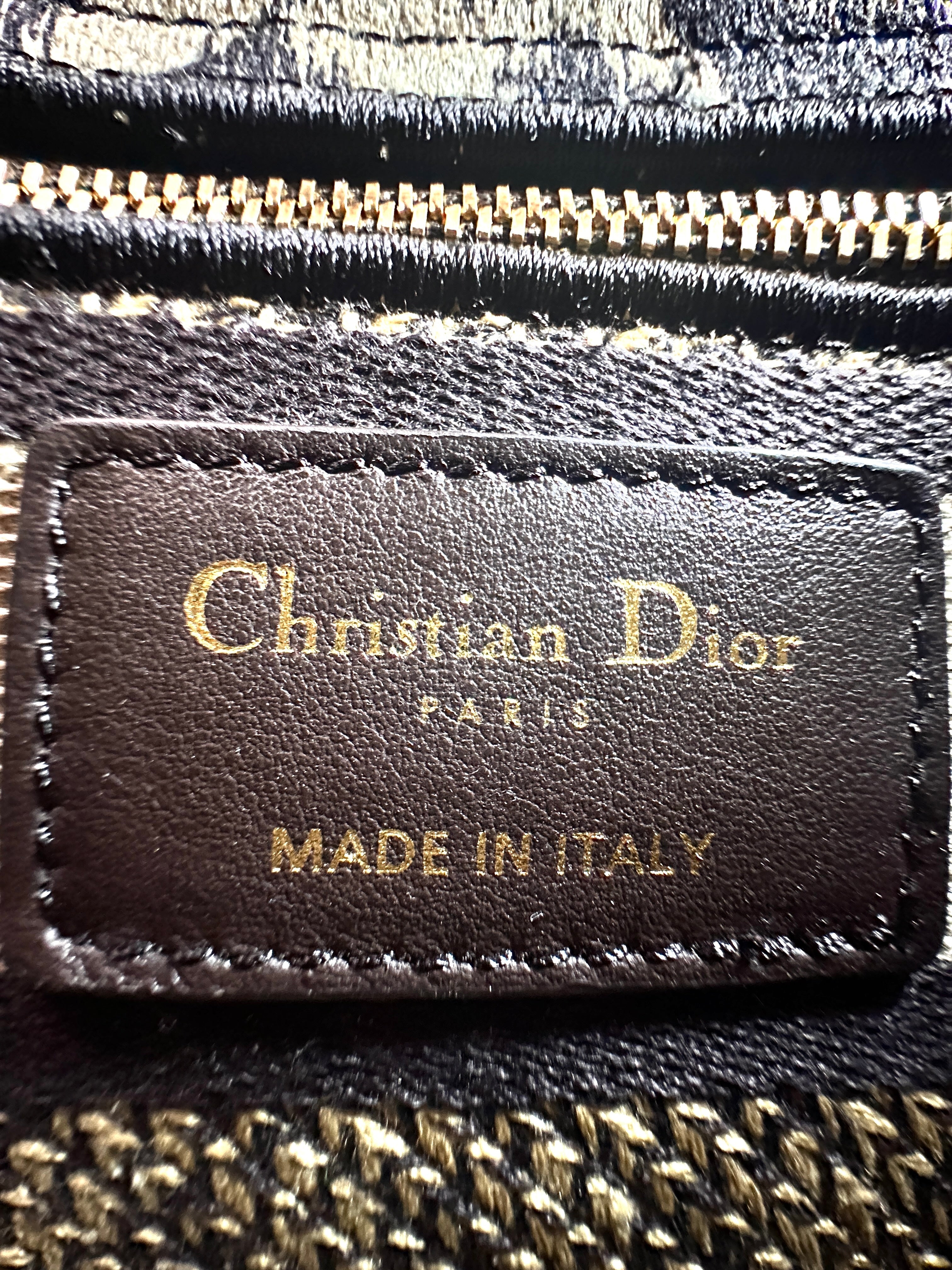 Christian Dior Lady Dior Mizza Leopard Embroidered Canvas Handle Bag With Gold Charms DR530