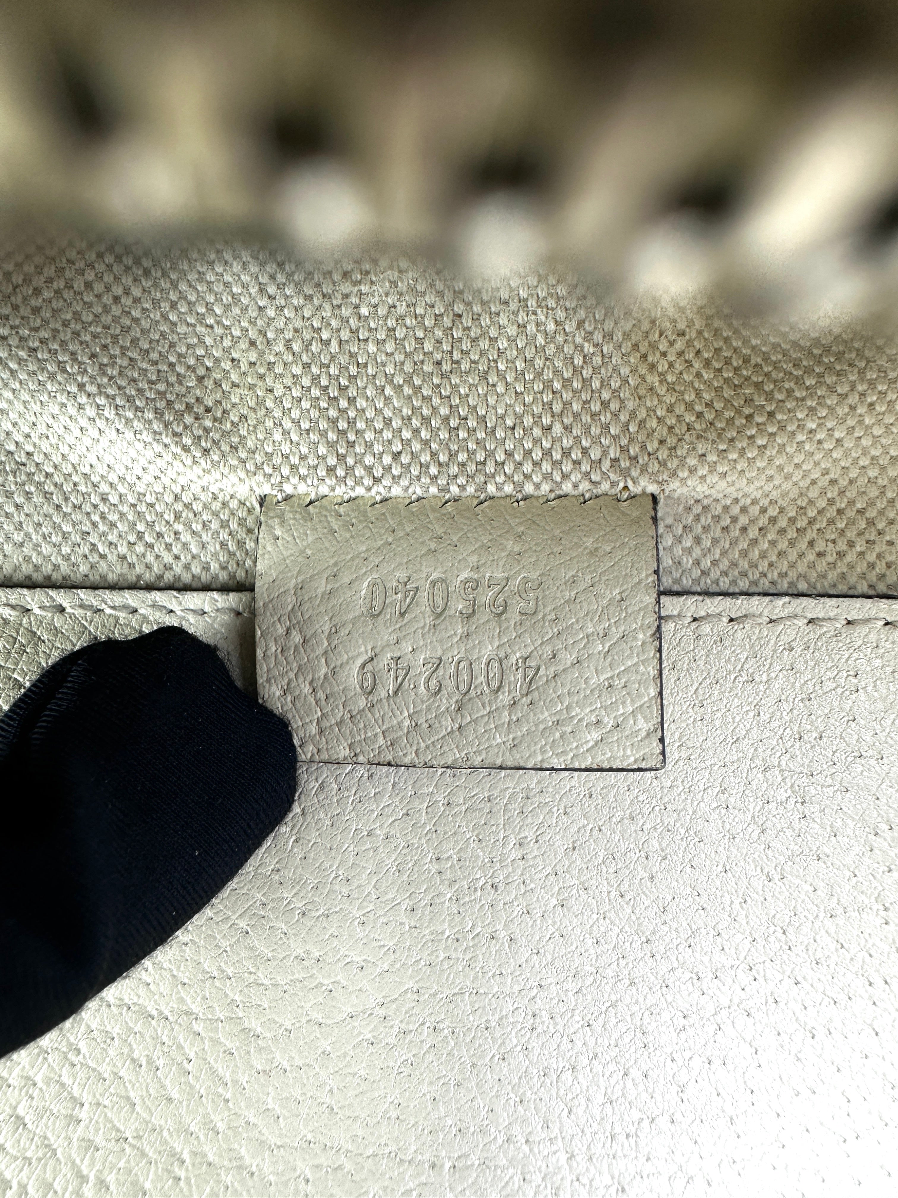 Gucci Dionysus White Textured Leather Chain Bag GG738