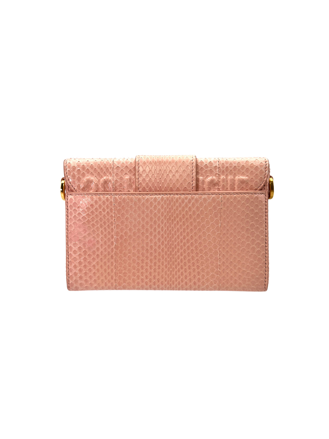 Christian Dior 30 Montaigne Pink Snakeskin Mini Box Bag DR536