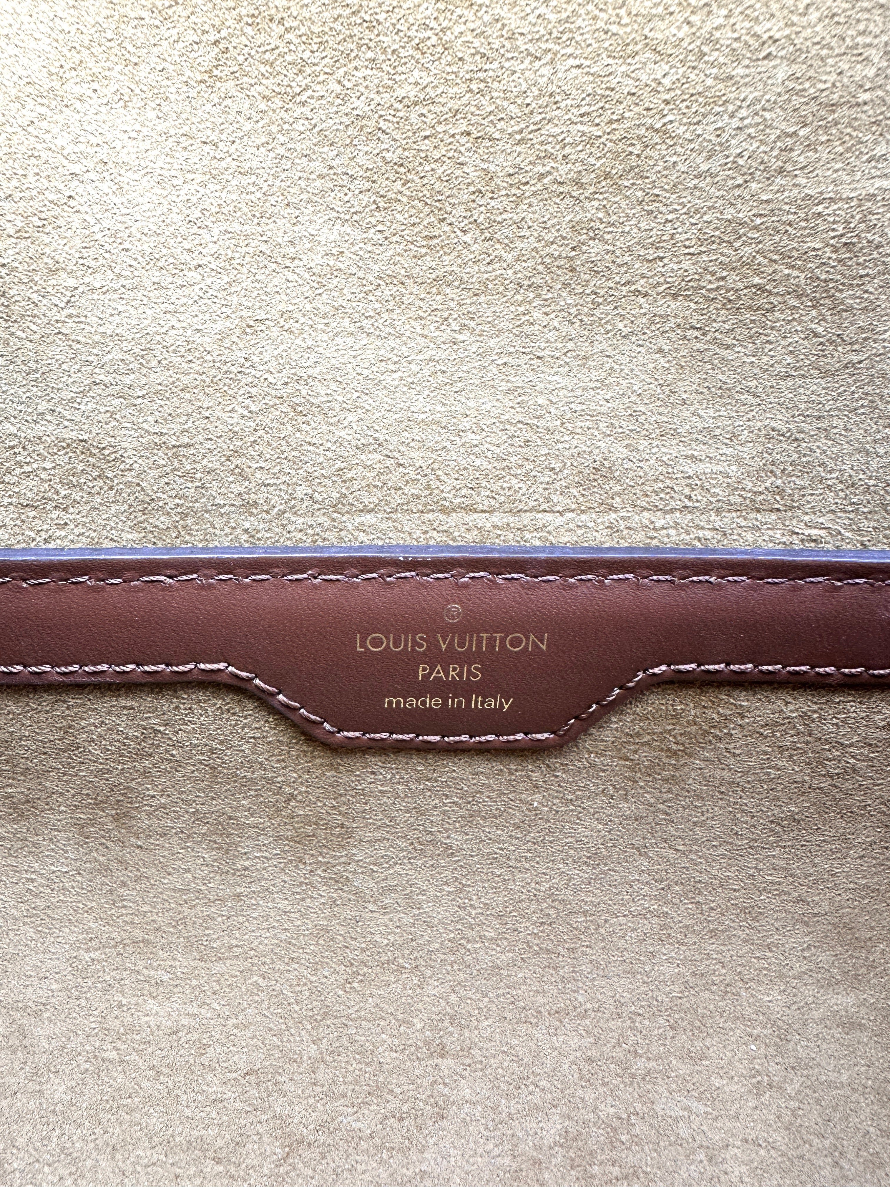 Louis Vuitton Papillon Trunk Monogram Canvas Shoulder Bag LV2049