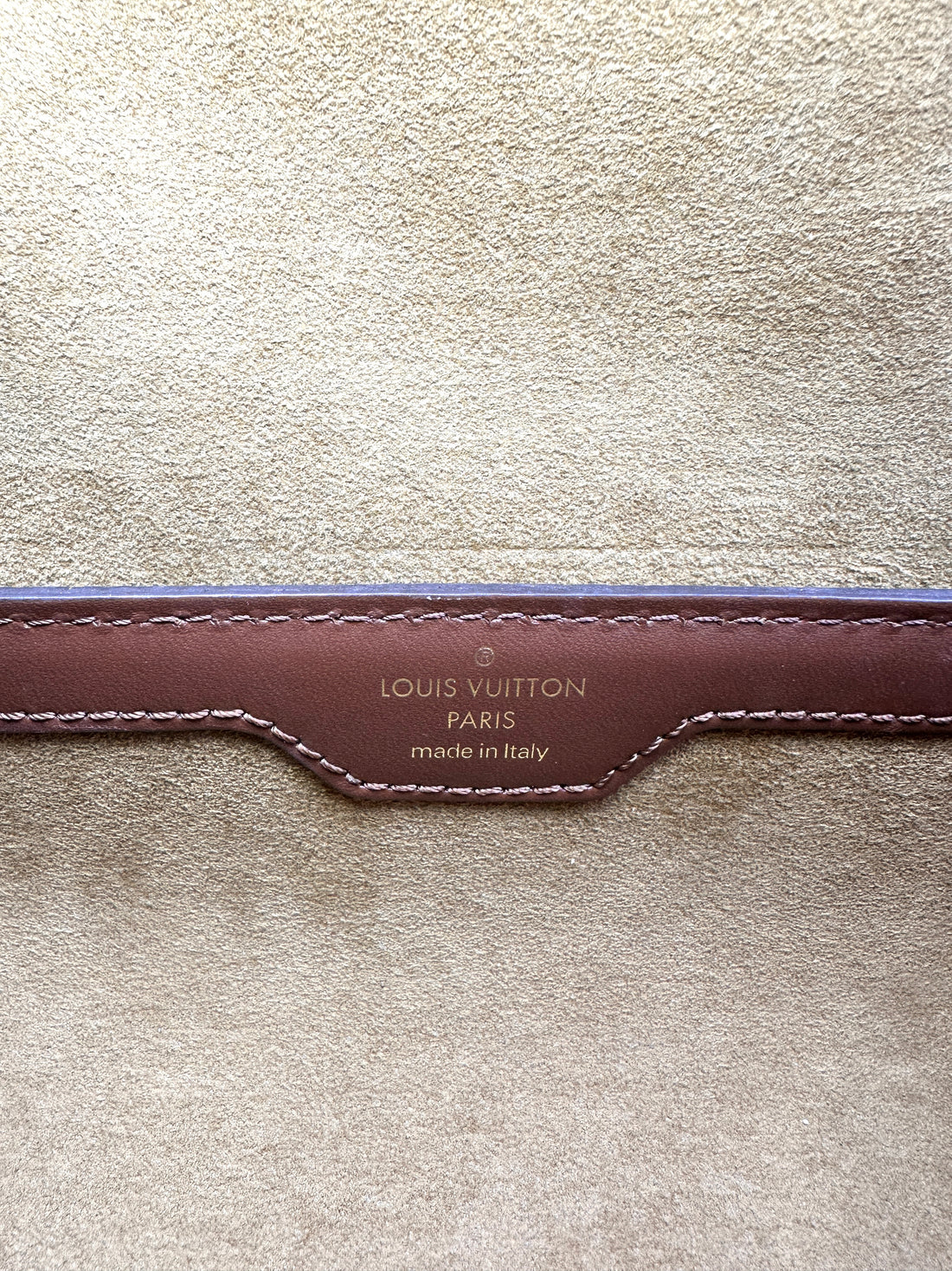 Louis Vuitton Papillon Trunk Monogram Canvas Shoulder Bag LV2049