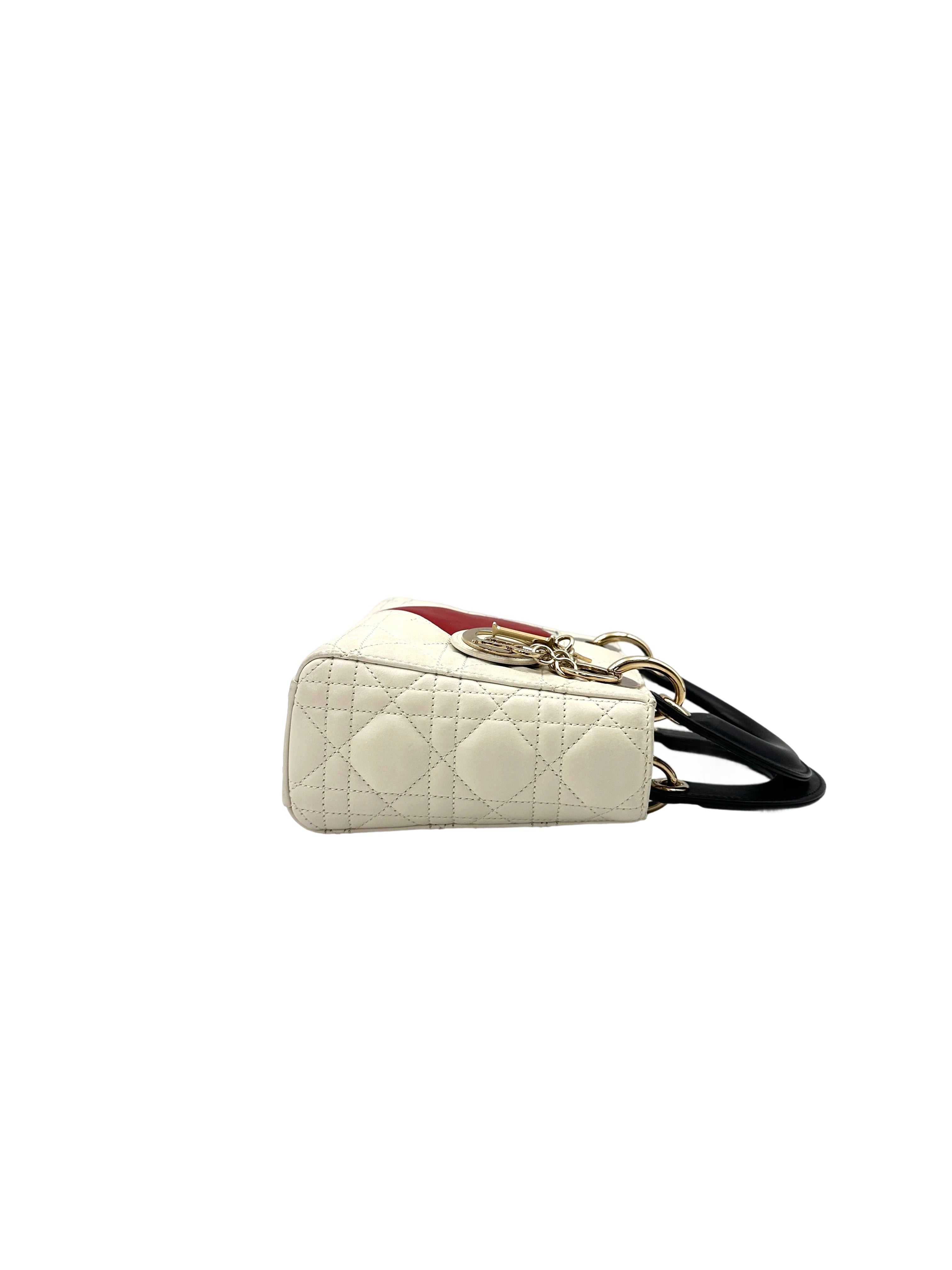 Christian Dior Lady Dior Dioramour Limited Edition Cannage Handle Bag With Gold Charms DR542