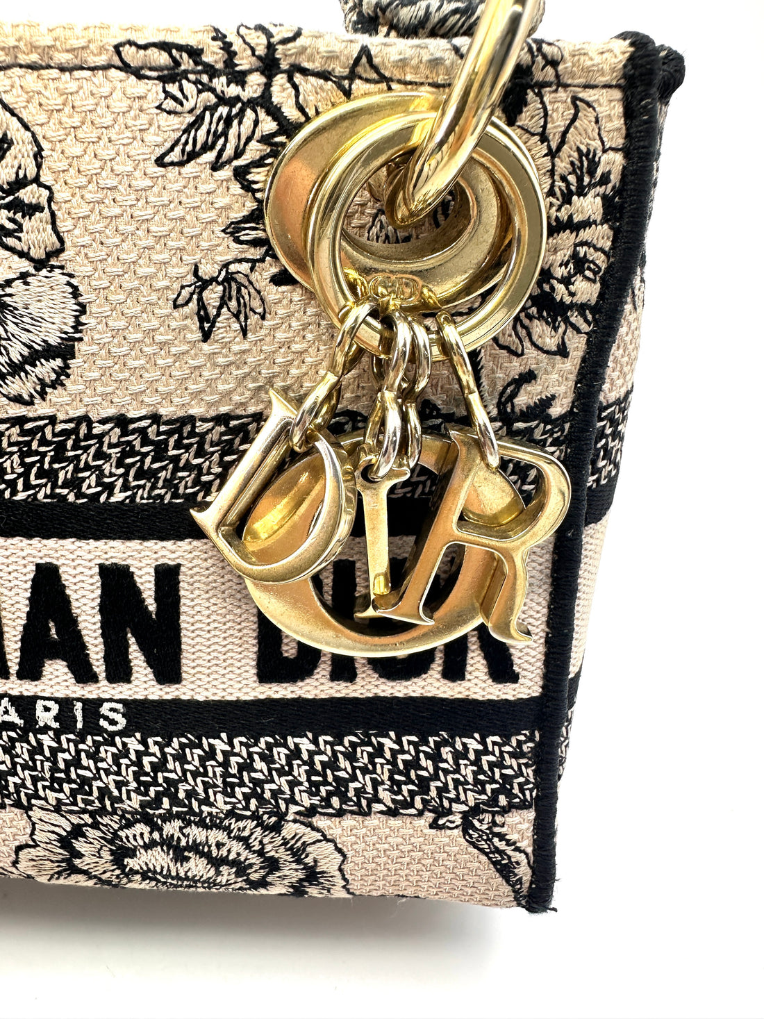 Christian Dior Lady D-Lite Blue/White Toile de Jouy Embroidery Canvas Handle Bag With Gold Charms DR544
