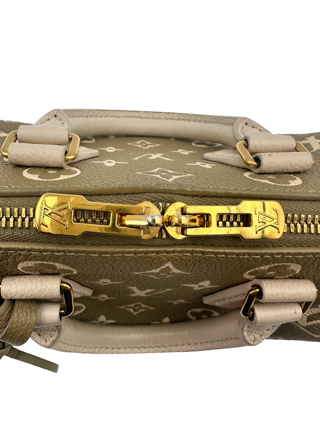 Louis Vuitton Speedy20 "Spring in the City" Green/White Monogram Empreinte Handle Bag LV2092
