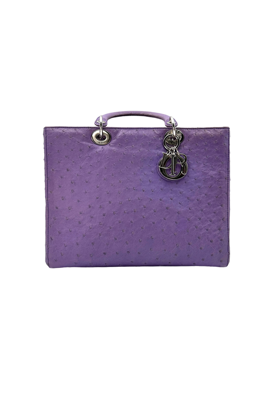 Christian Dior Lady Dior Purple Ostrich Leather Handle Bag With Silver Charms DR551