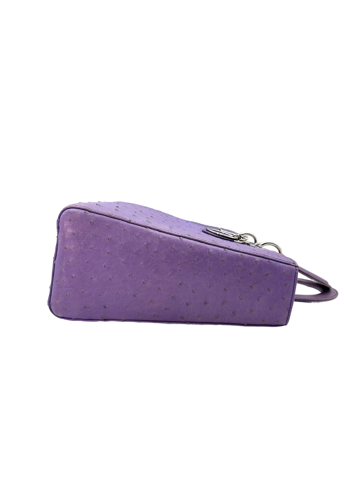 Christian Dior Lady Dior Purple Ostrich Leather Handle Bag With Silver Charms DR551