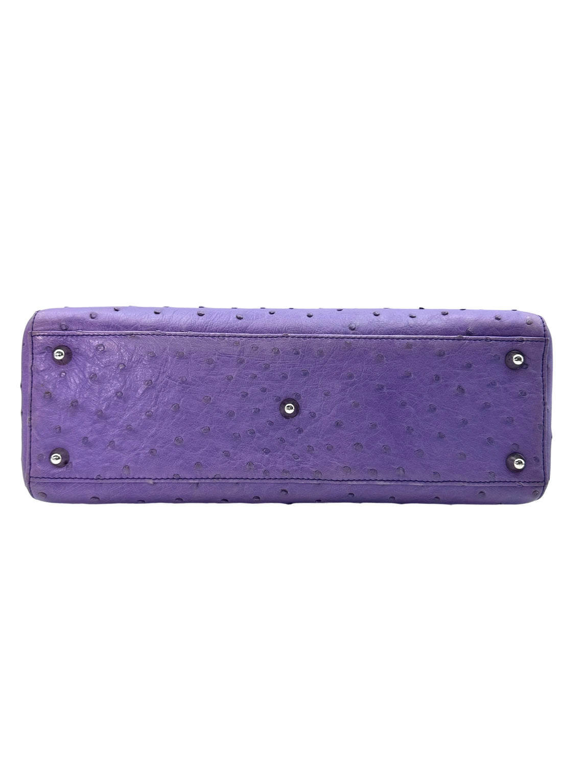 Christian Dior Lady Dior Purple Ostrich Leather Handle Bag With Silver Charms DR551
