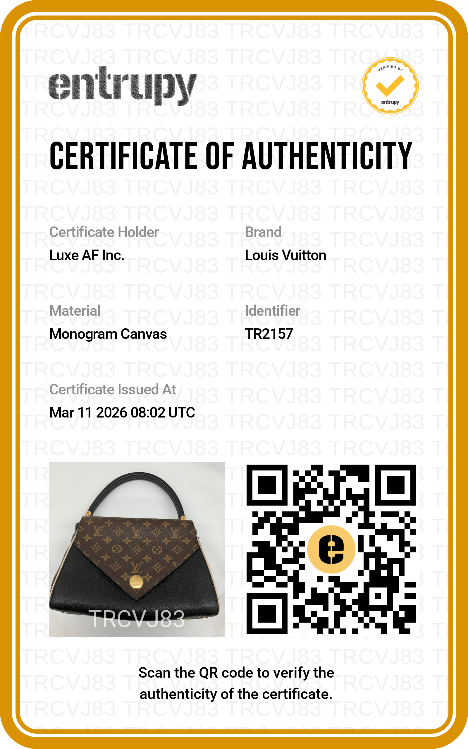 Louis Vuitton Double V Monogram Canvas Black Leather Handle Bag IRIS068