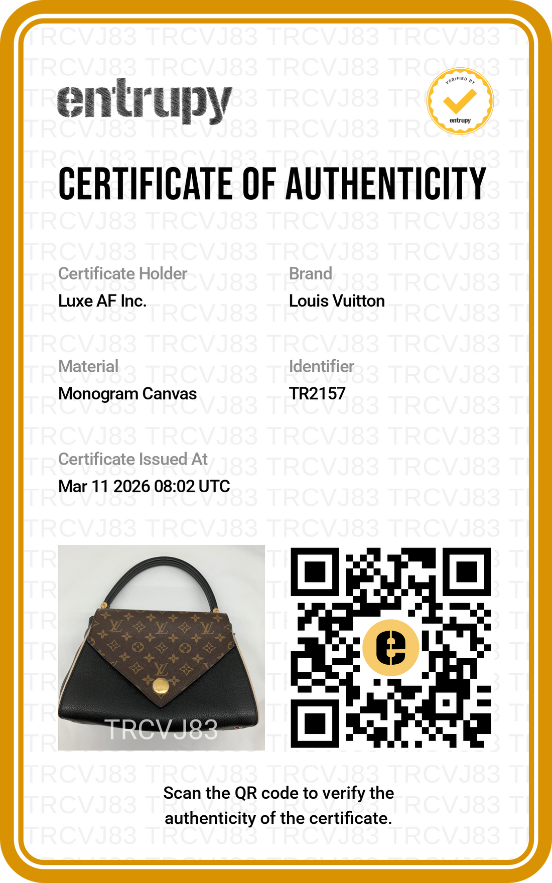 Louis Vuitton Double V Monogram Canvas Black Leather Handle Bag IRIS068