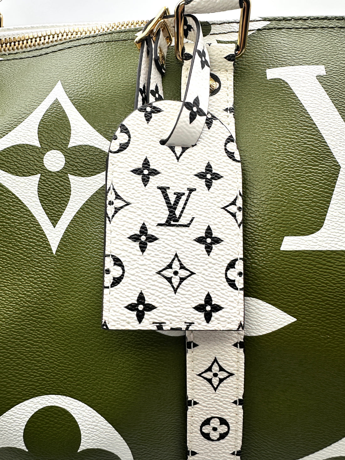 Louis Vuitton Summer 2019 Keepall50 Green/White Giant Monogram Leather Handle Bag IRIS078