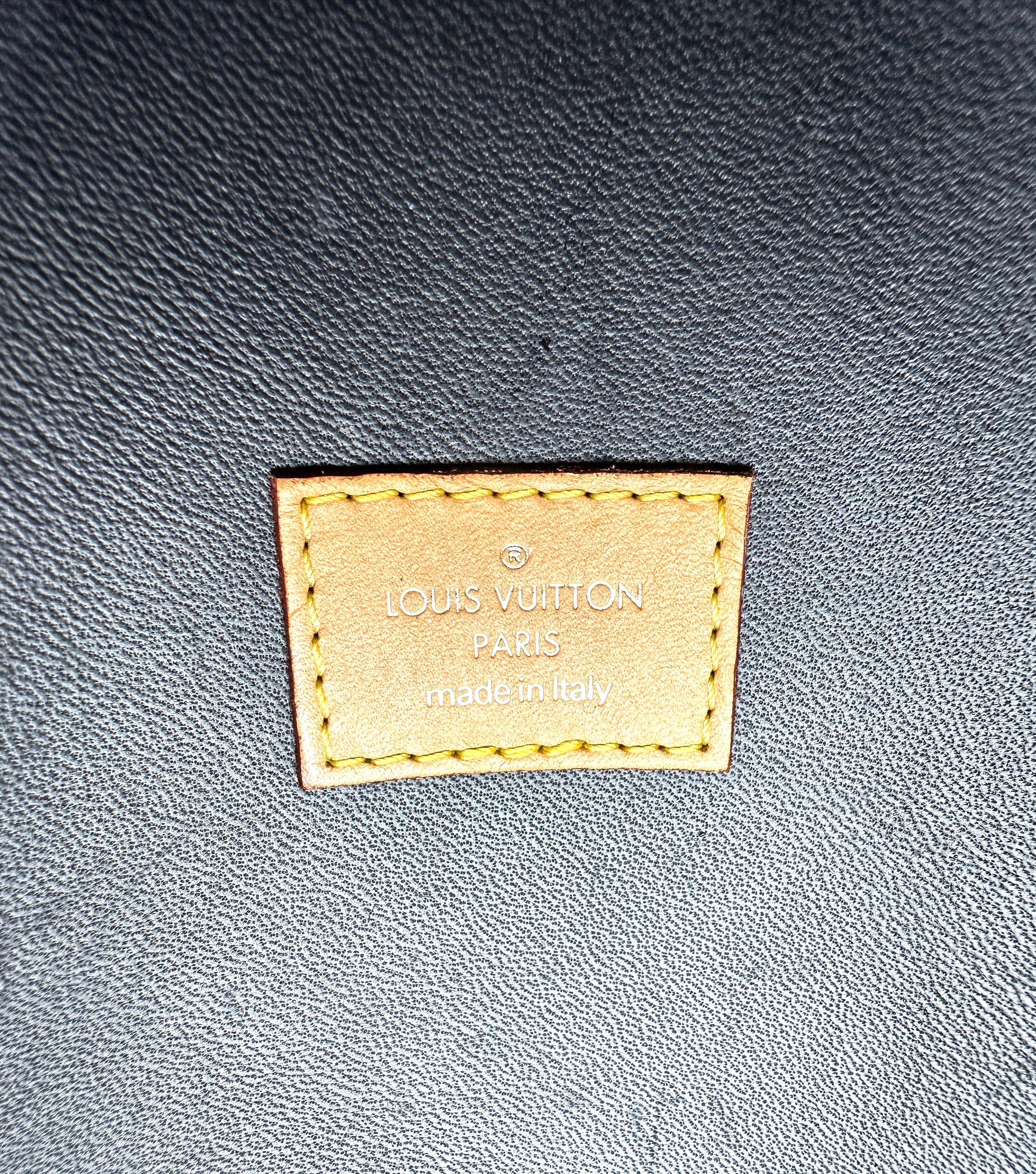 Louis Vuitton Monogram Canvas And Leather Handle Egg Bag LV2205