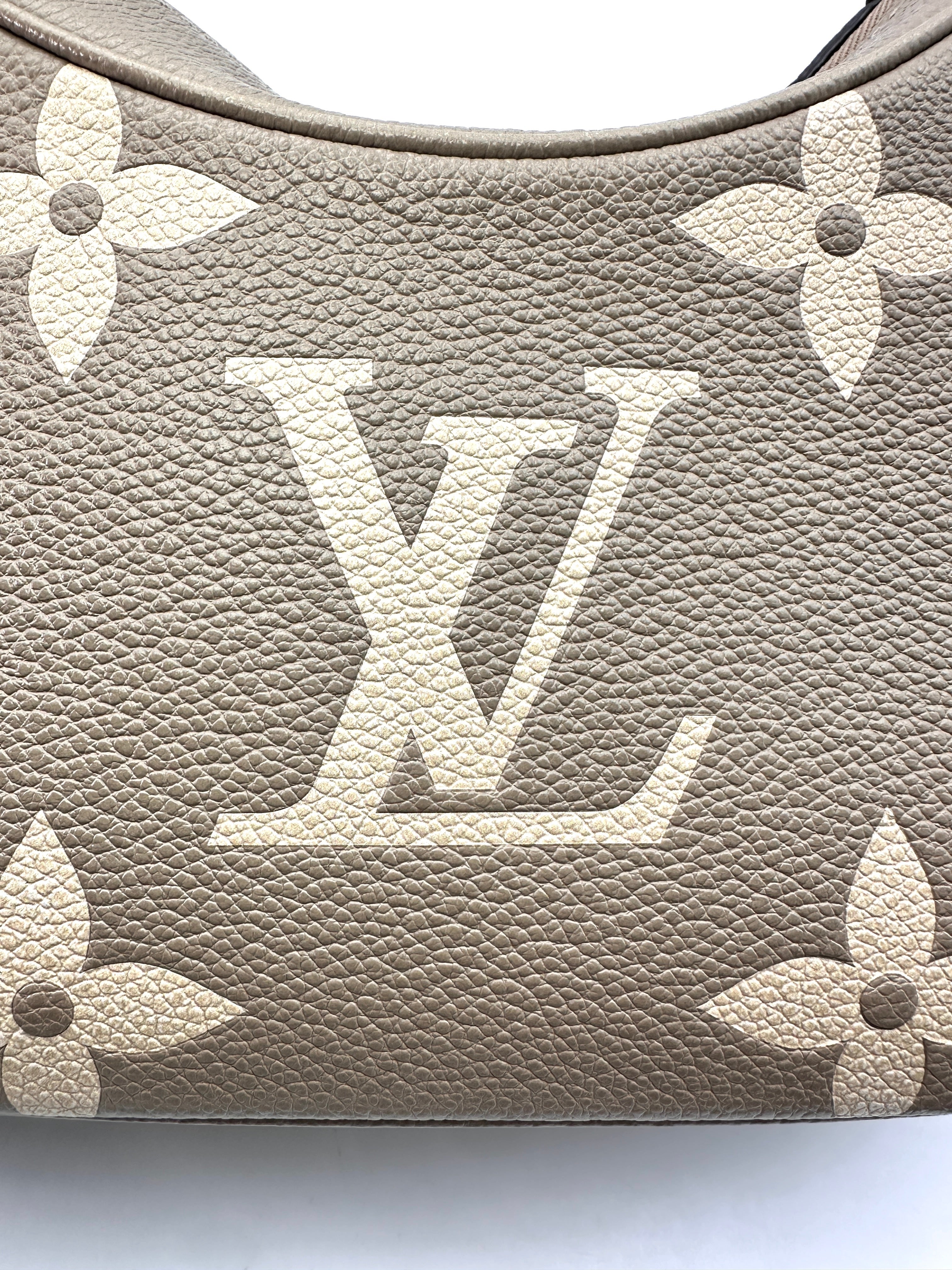 Christian Dior Lady Dior Beige Metallic Cannage Leather Handle Bag With Silver Charms IRIS085