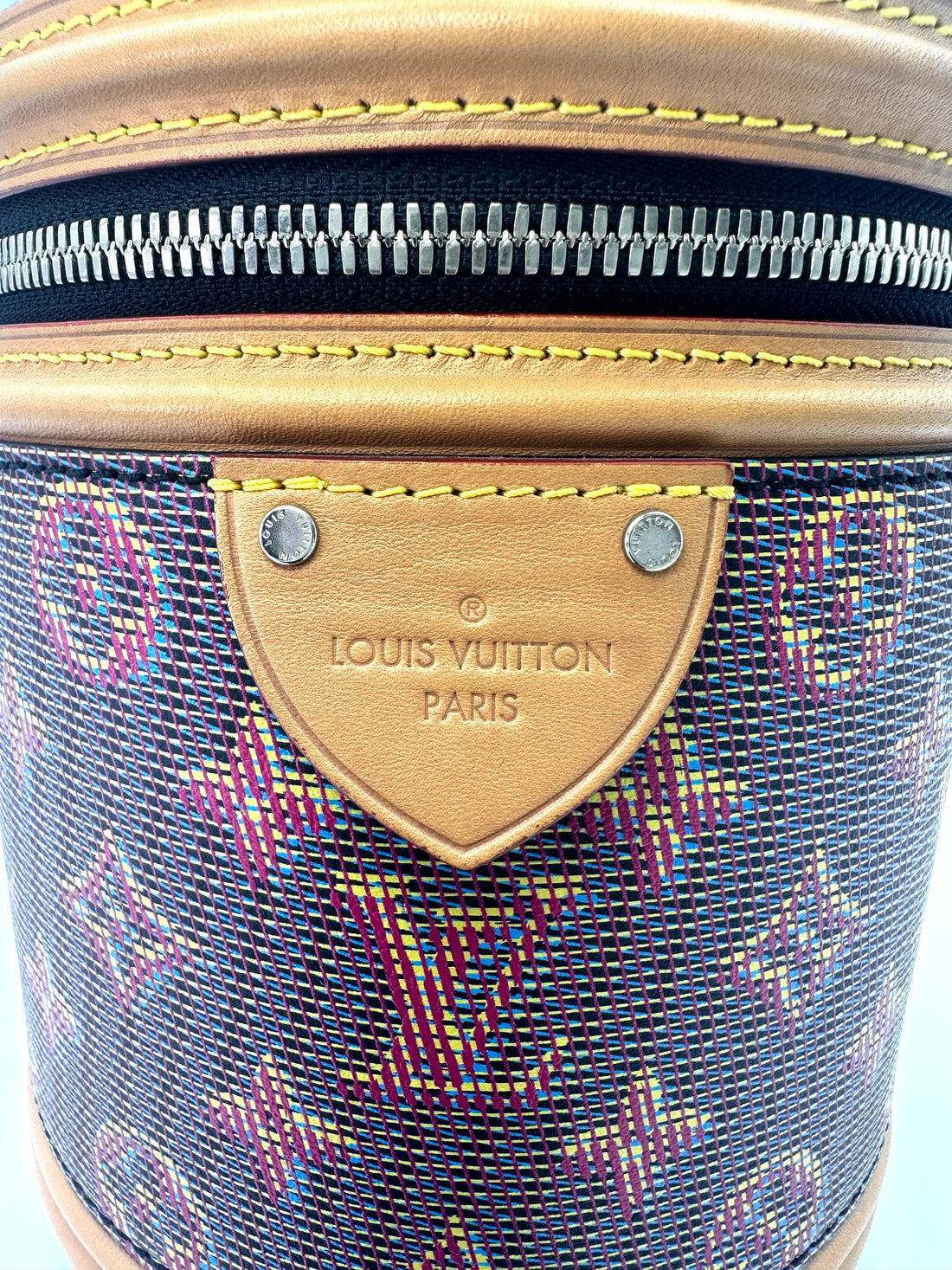 Louis Vuitton Limited Edition LV Pop Monogram Cannes Handle Bag LV2226