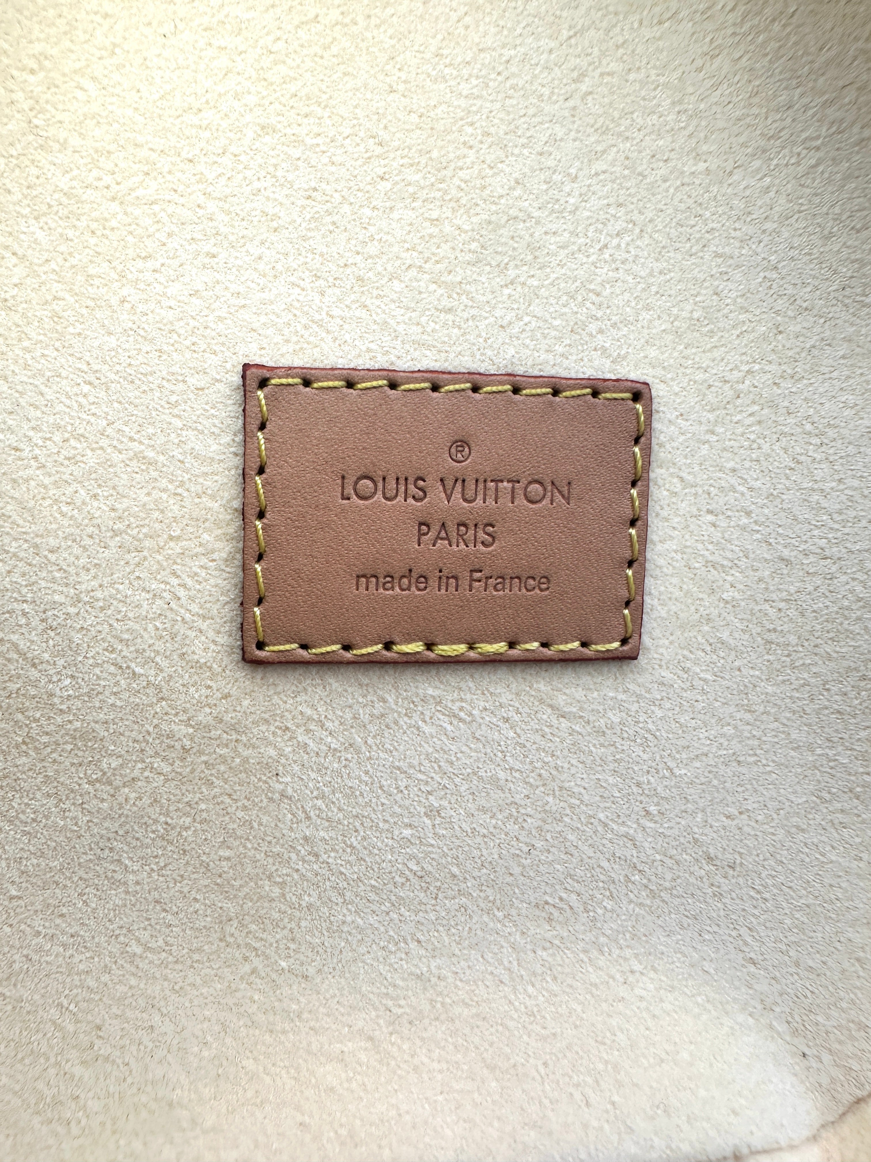 Louis Vuitton Limited Edition LV Pop Monogram Cannes Handle Bag LV2226