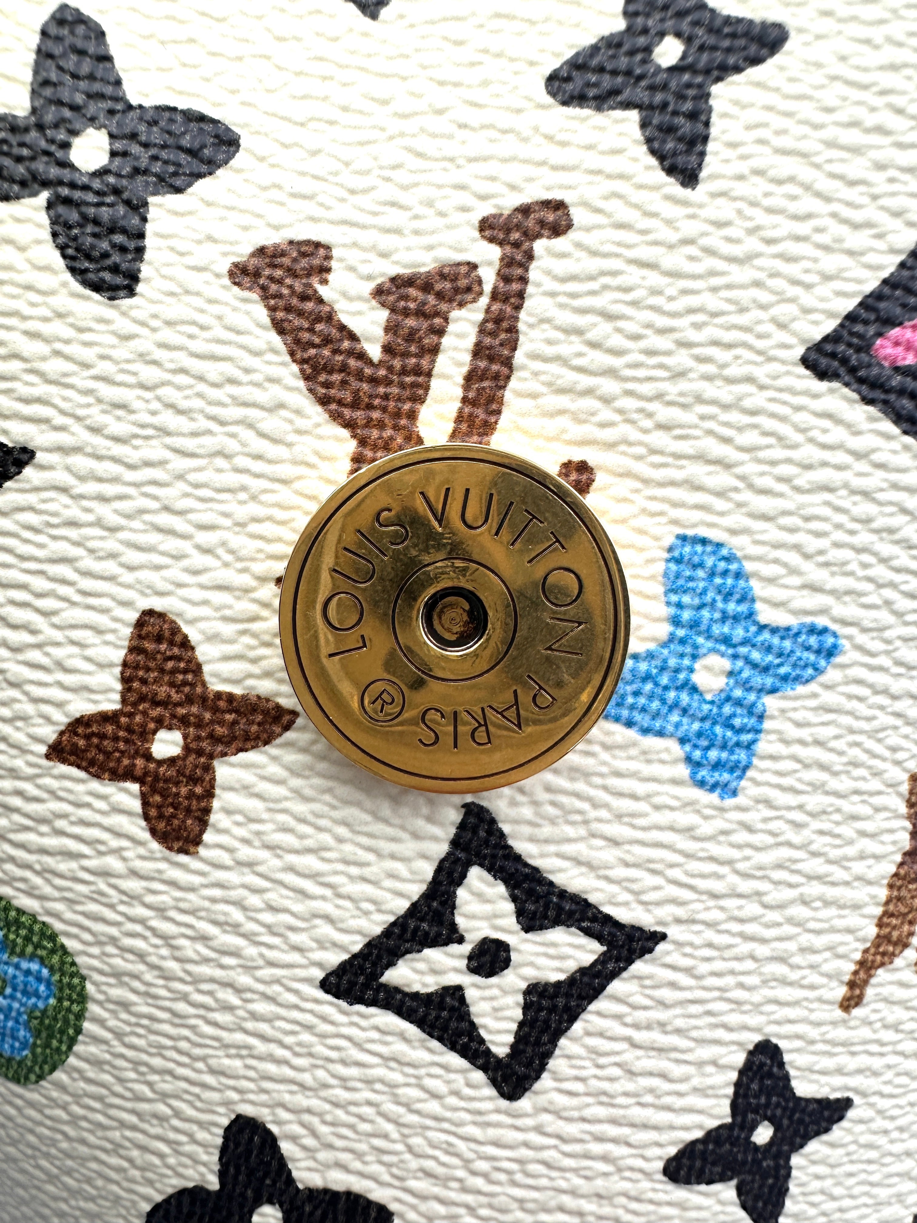 Louis Vuitton x Tyler The Creator Monogram Craggy Envelope Pouch IRIS089