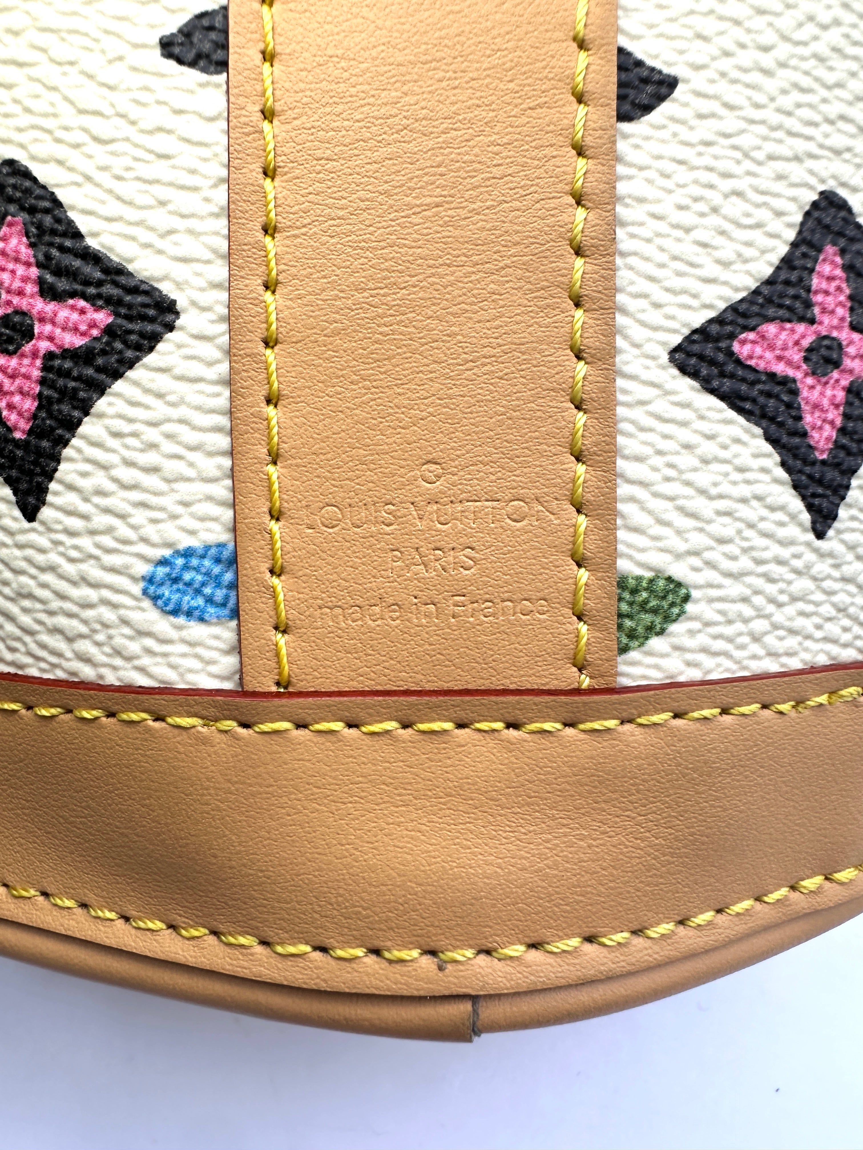 Louis Vuitton x Tyler The Creator Monogram Craggy Envelope Pouch IRIS089
