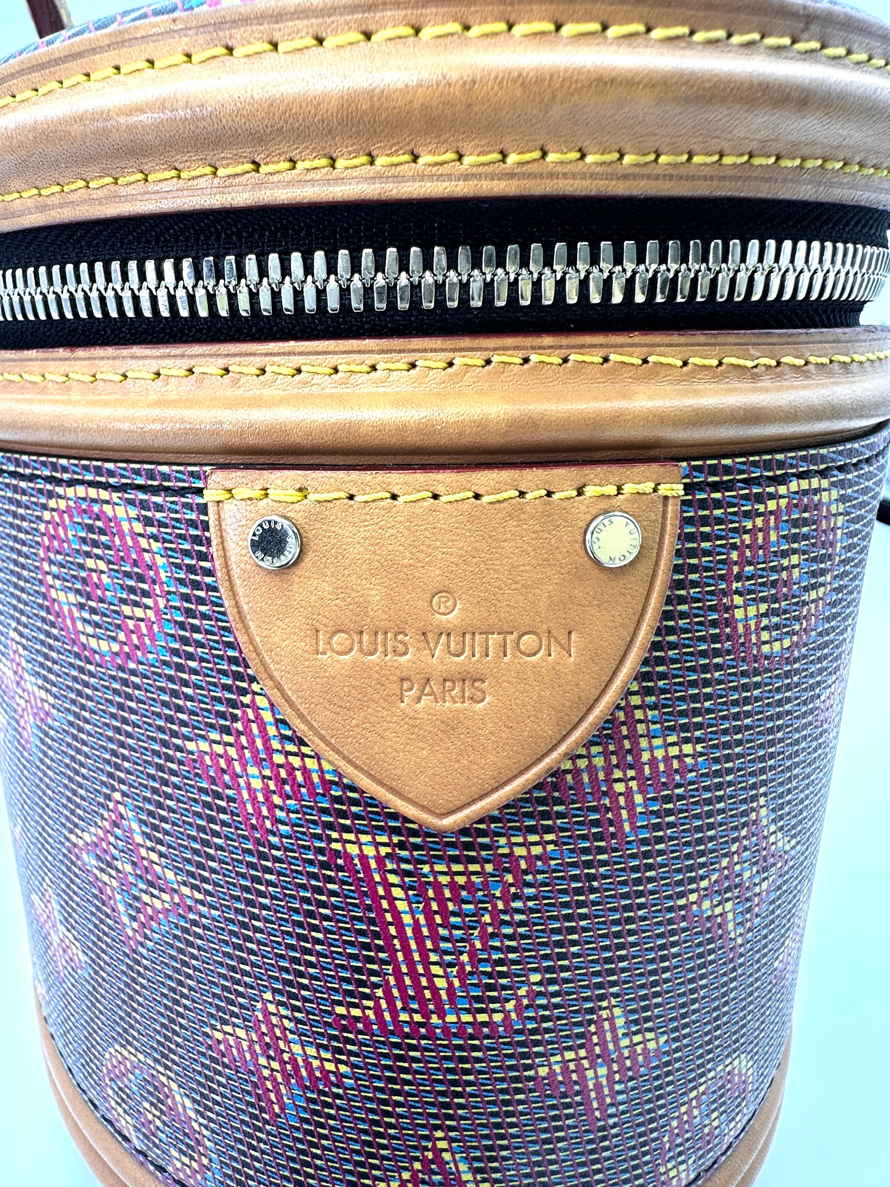 Louis Vuitton Limited Edition LV Pop Monogram Cannes Handle Bag LV2241
