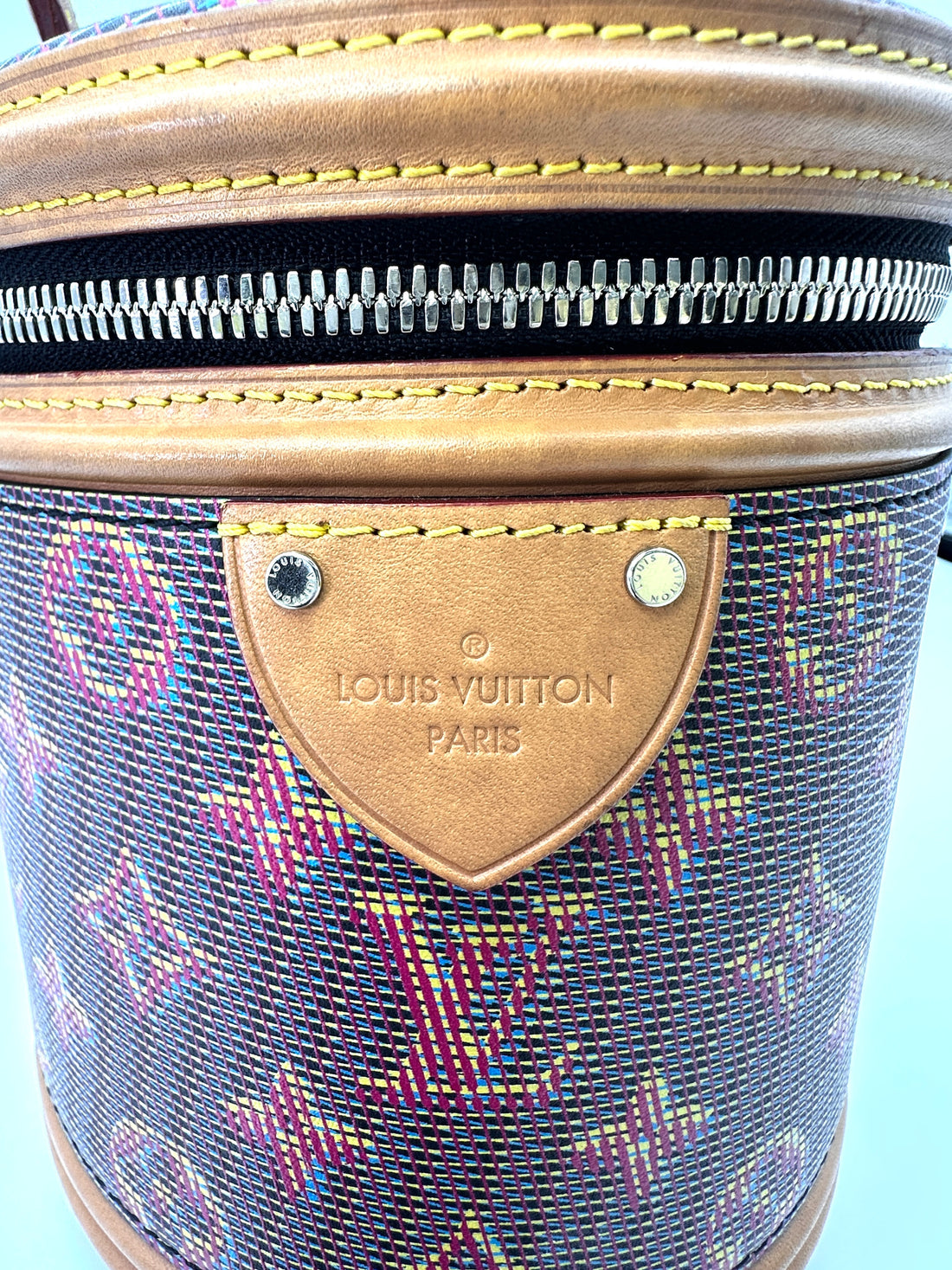 Louis Vuitton Limited Edition LV Pop Monogram Cannes Handle Bag LV2241