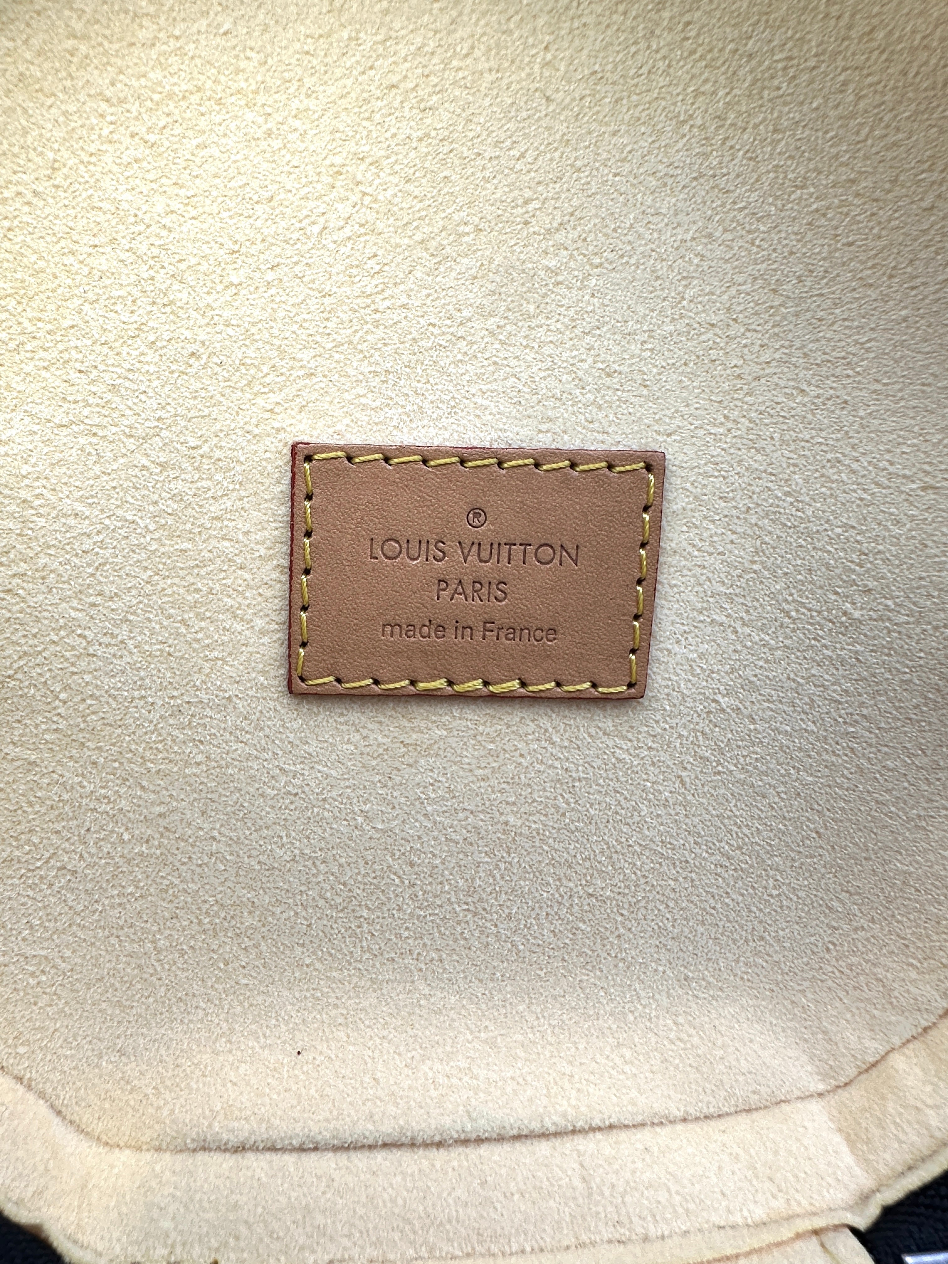 Louis Vuitton Limited Edition LV Pop Monogram Cannes Handle Bag LV2241