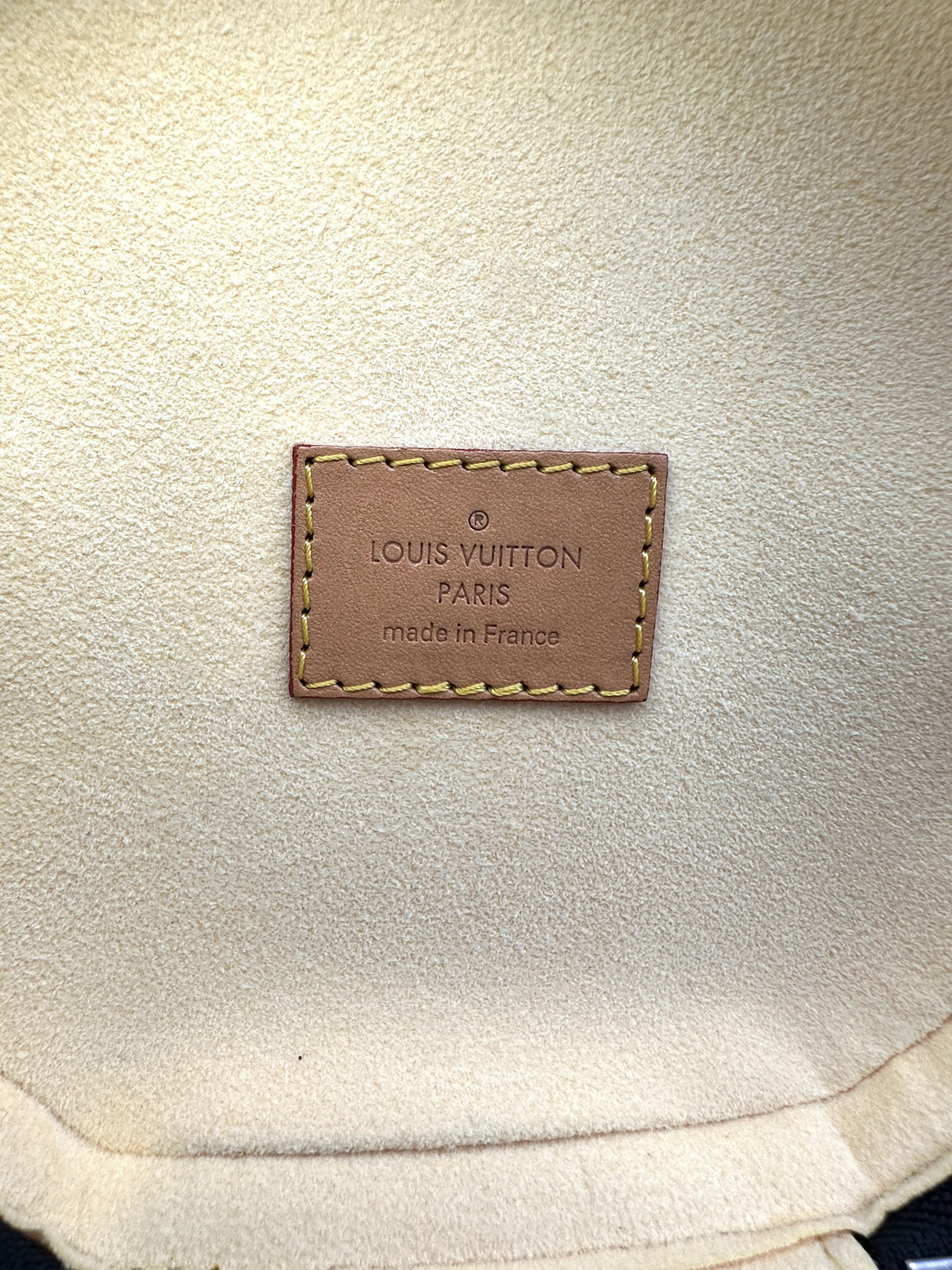 Louis Vuitton Limited Edition LV Pop Monogram Cannes Handle Bag LV2241