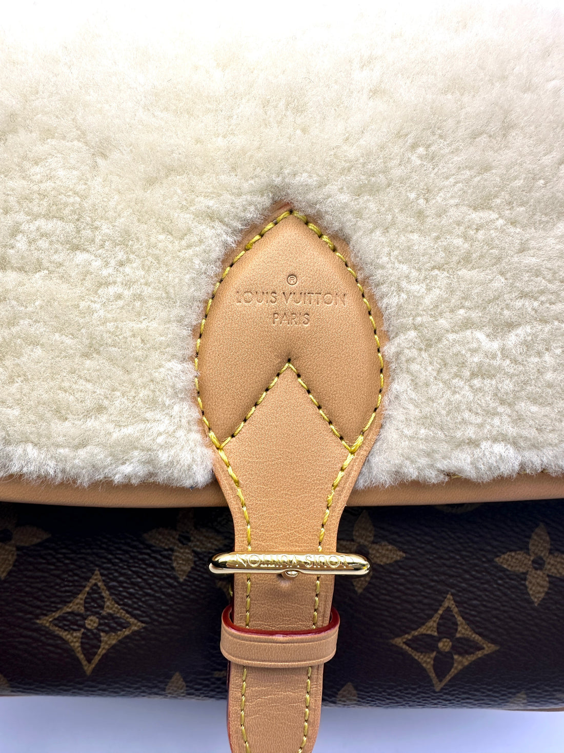 Louis Vuitton Cozygram Monogram Shearling Diane Shoulder Bag LV2263