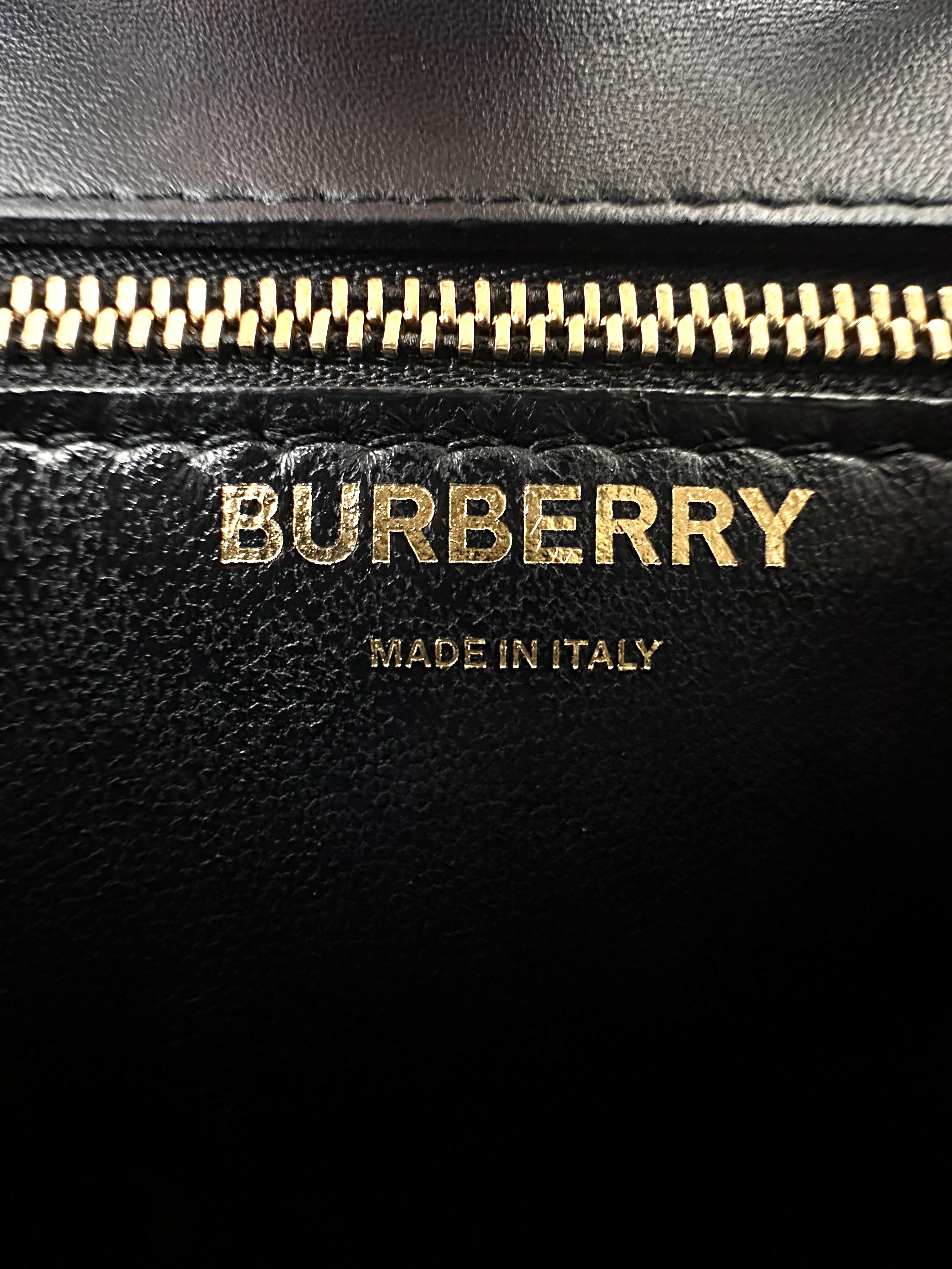 Burberry Bridle Brown Monogram Stripe E-canvas TB Bag BR45